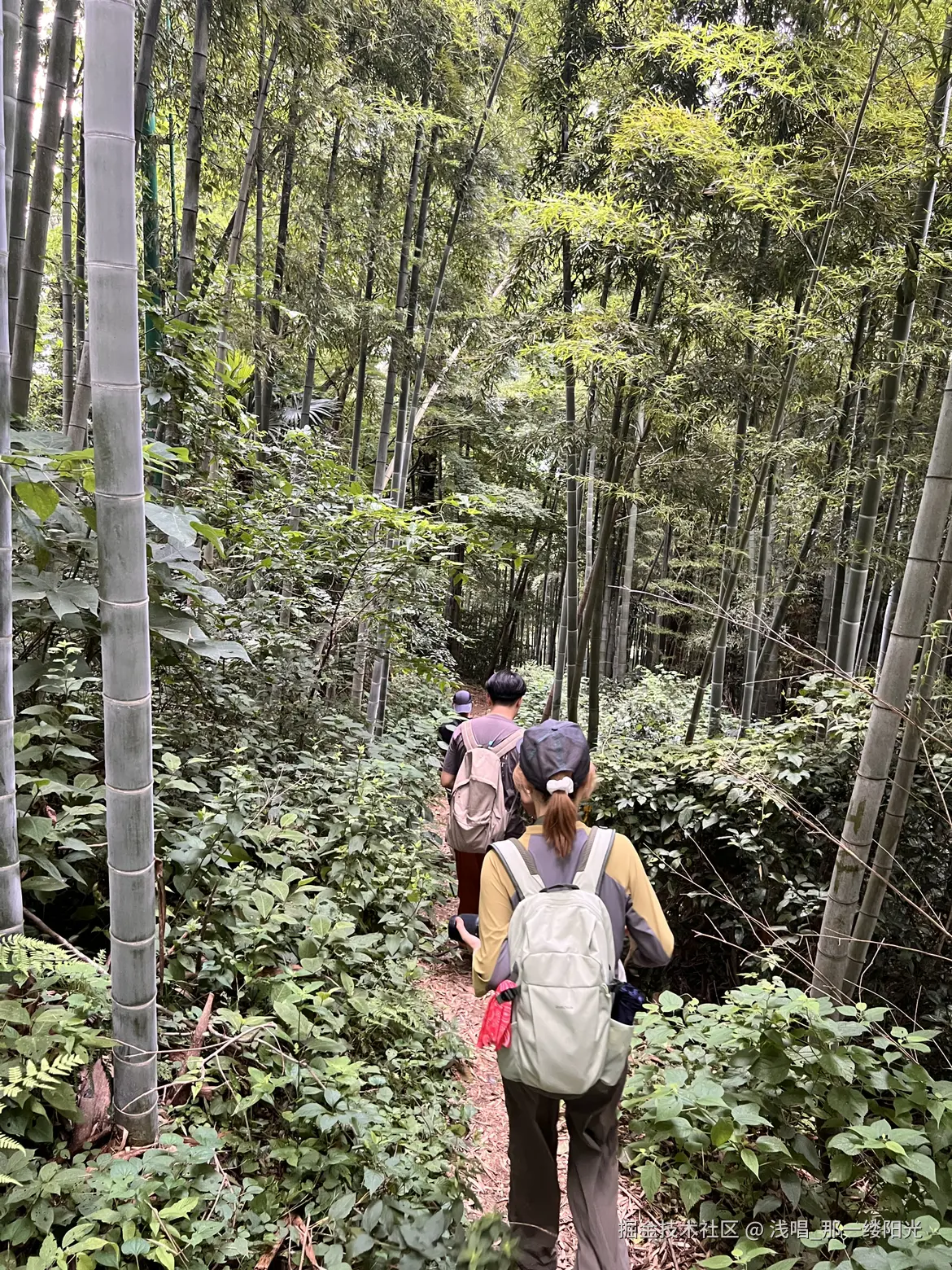 浅唱_那一缕阳光于2025-07-15 14:01发布的图片