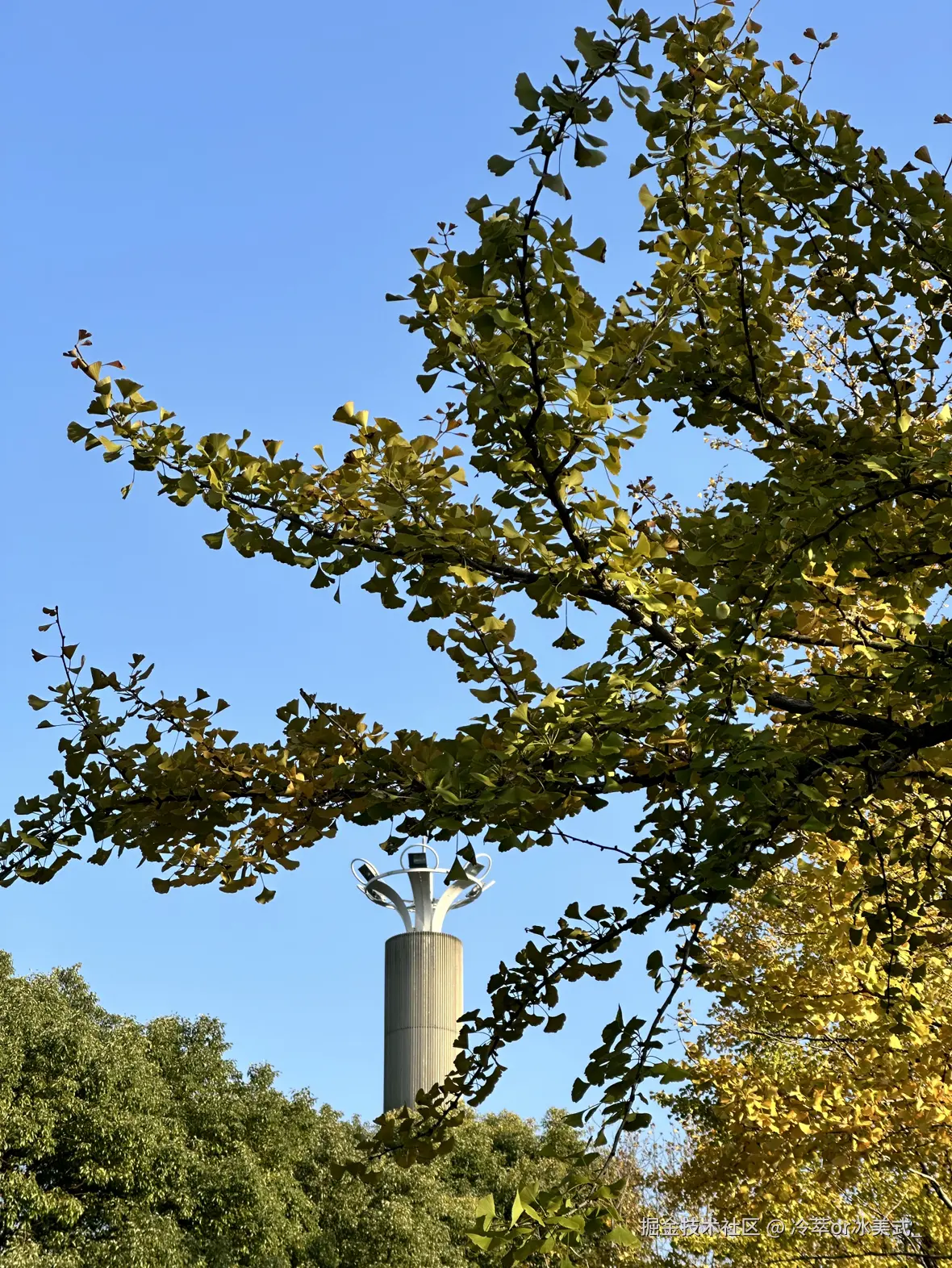 冷萃or冰美式_于2024-12-02 13:09发布的图片