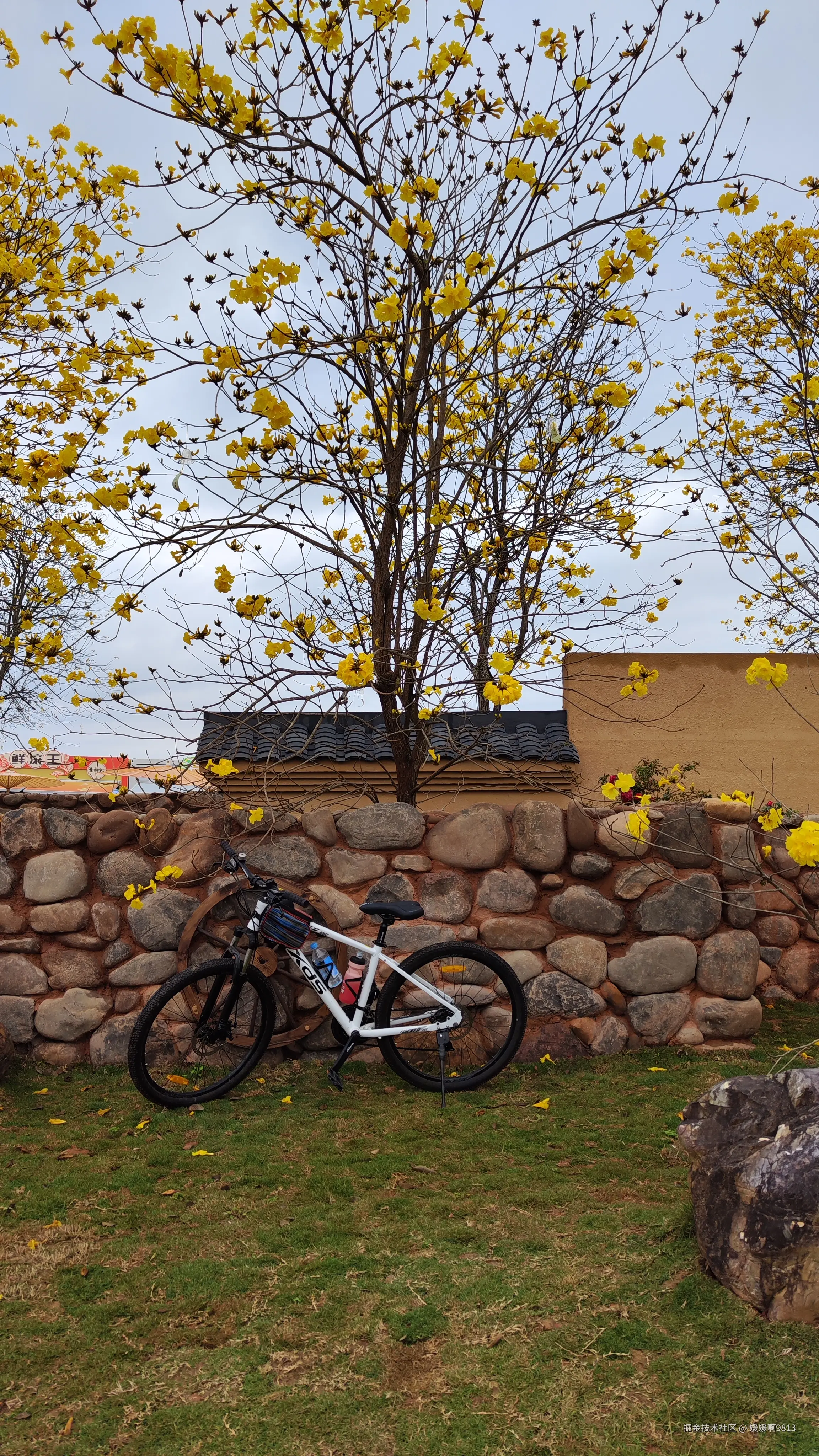 媛媛啊9813于2025-03-16 04:30发布的图片