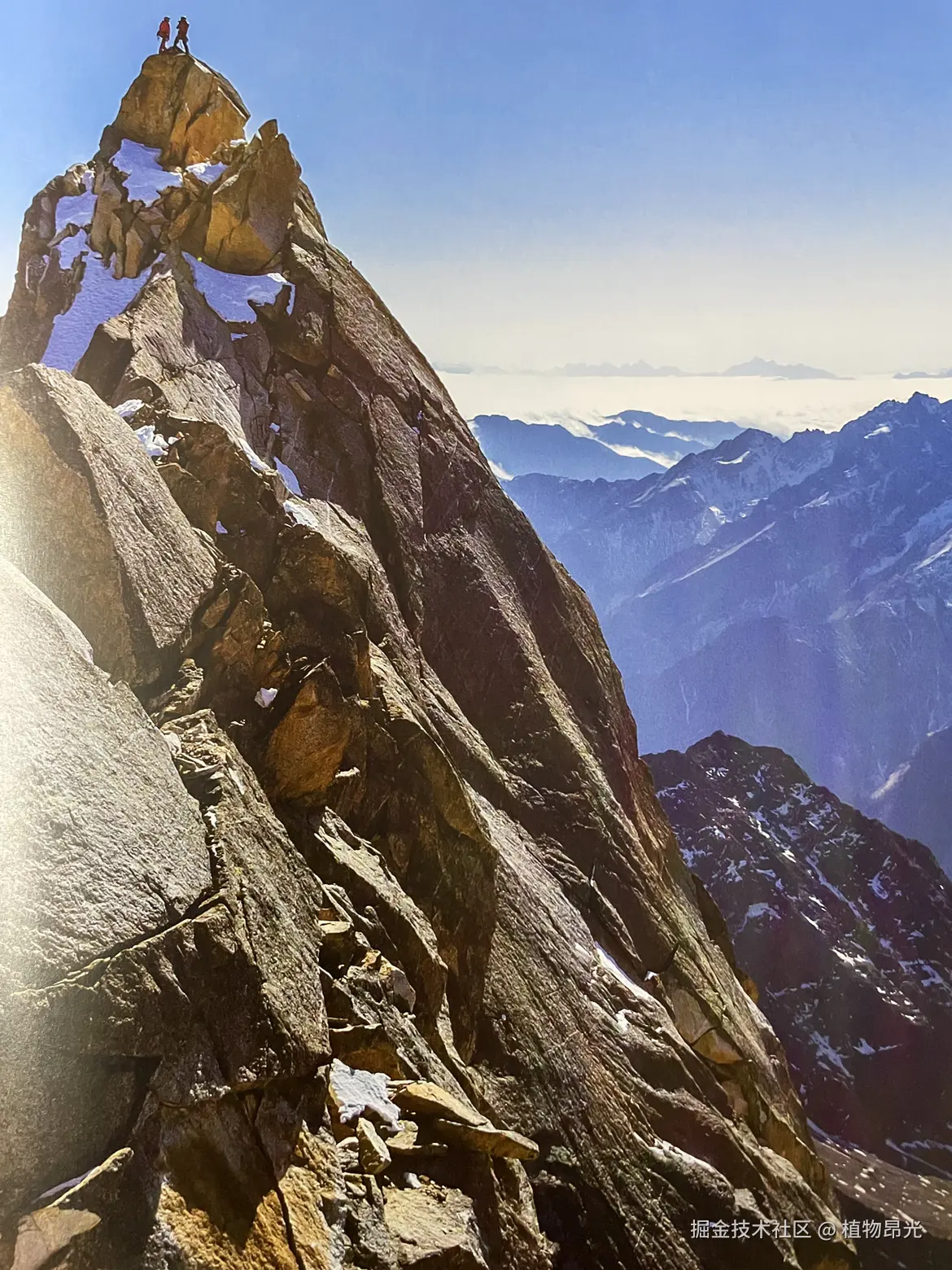 植物昂光于2026-03-16 20:38发布的图片