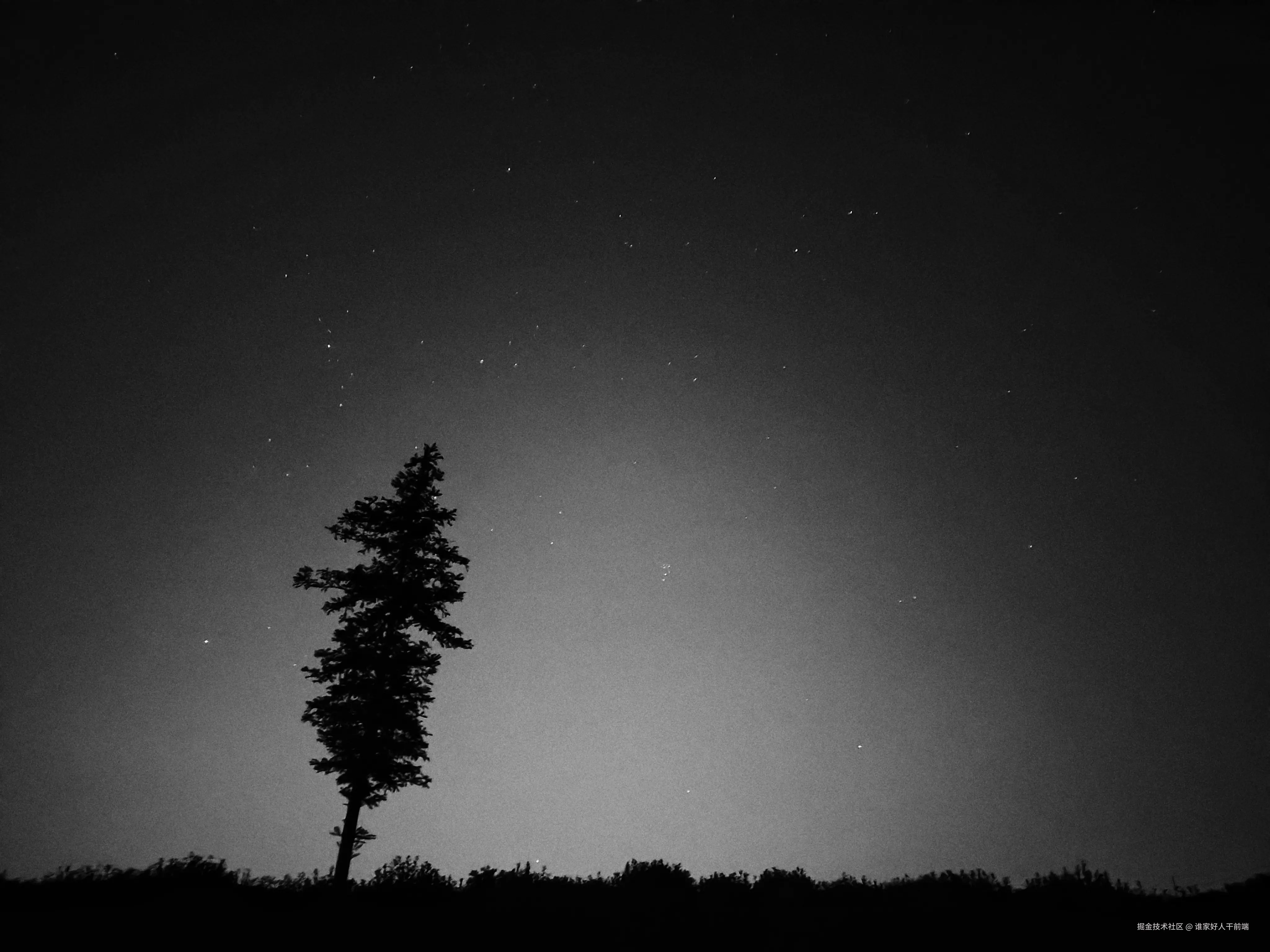 谁家好人干前端于2024-09-02 09:55发布的图片