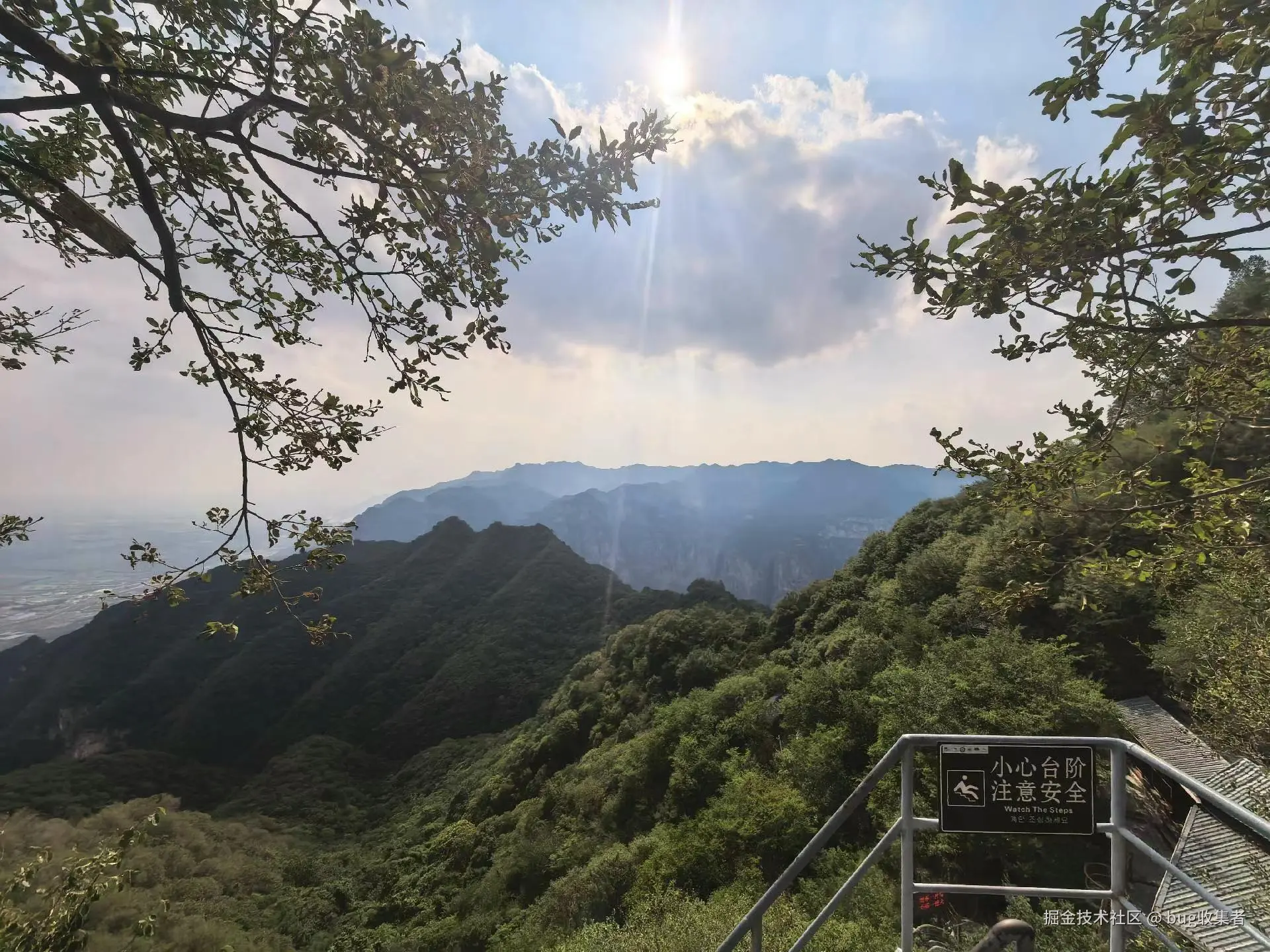 bug收集者于2025-06-30 13:20发布的图片