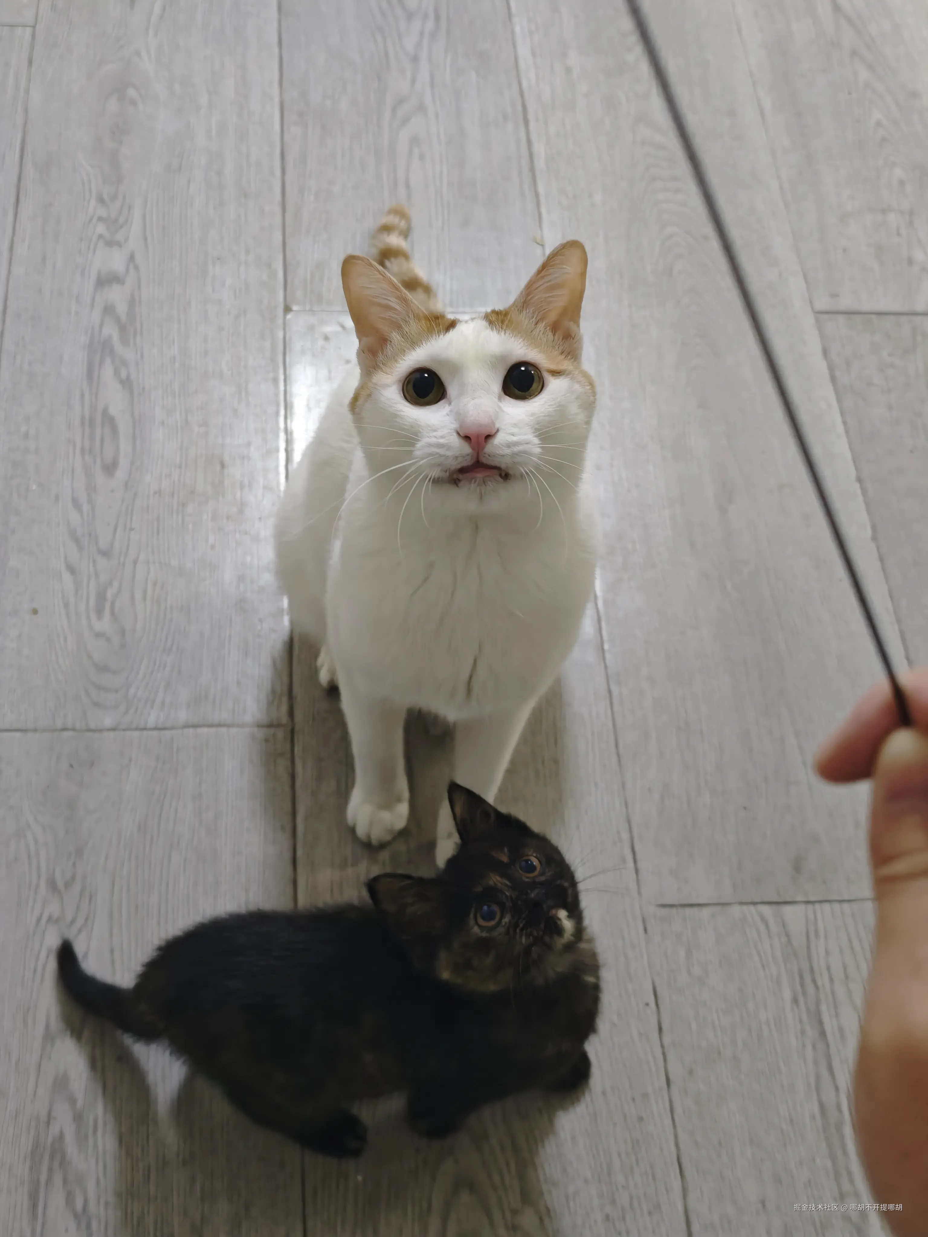 哪胡不开提哪胡于2026-03-20 09:39发布的图片