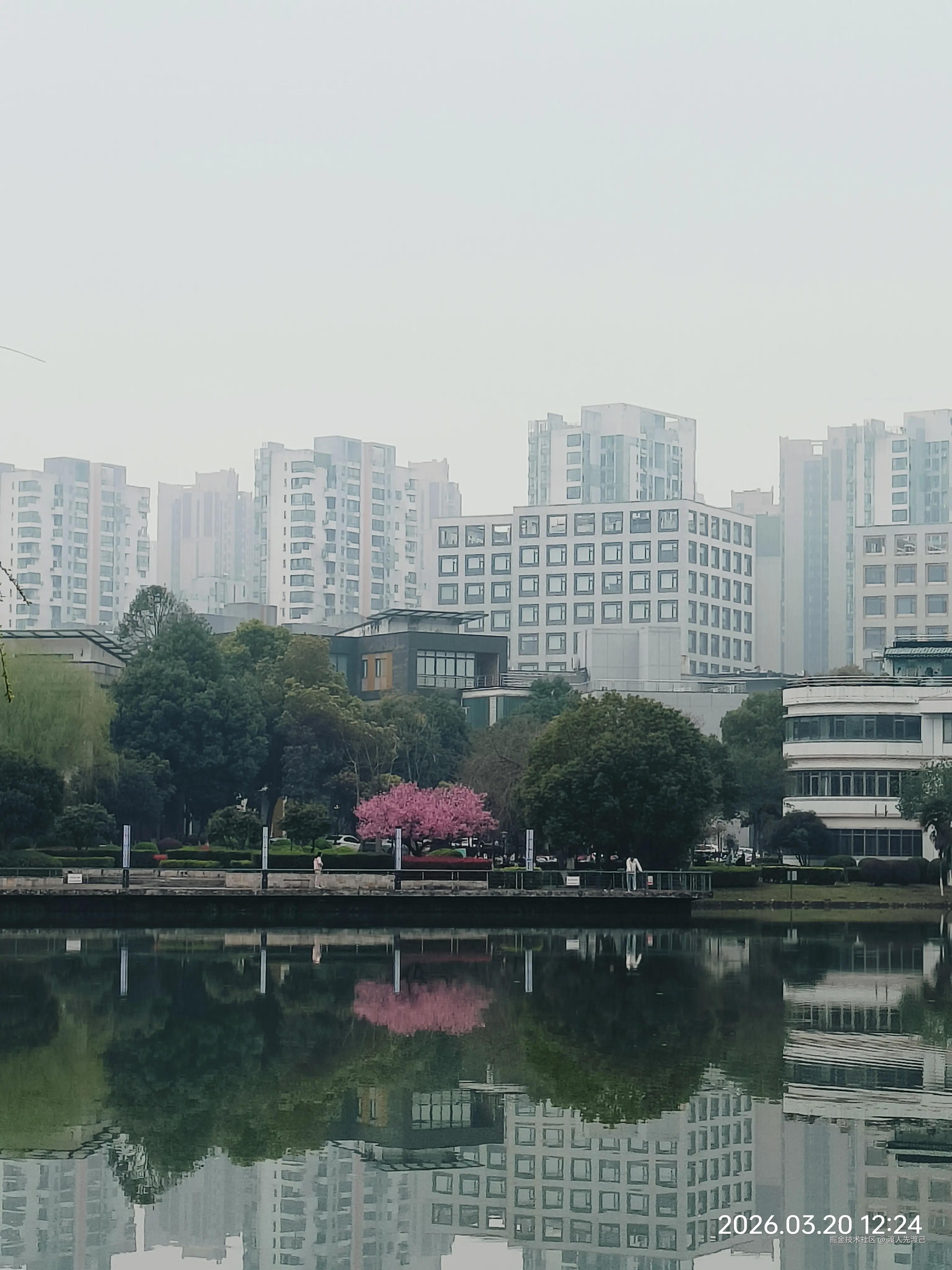 渡人先渡己于2026-04-17 15:01发布的图片