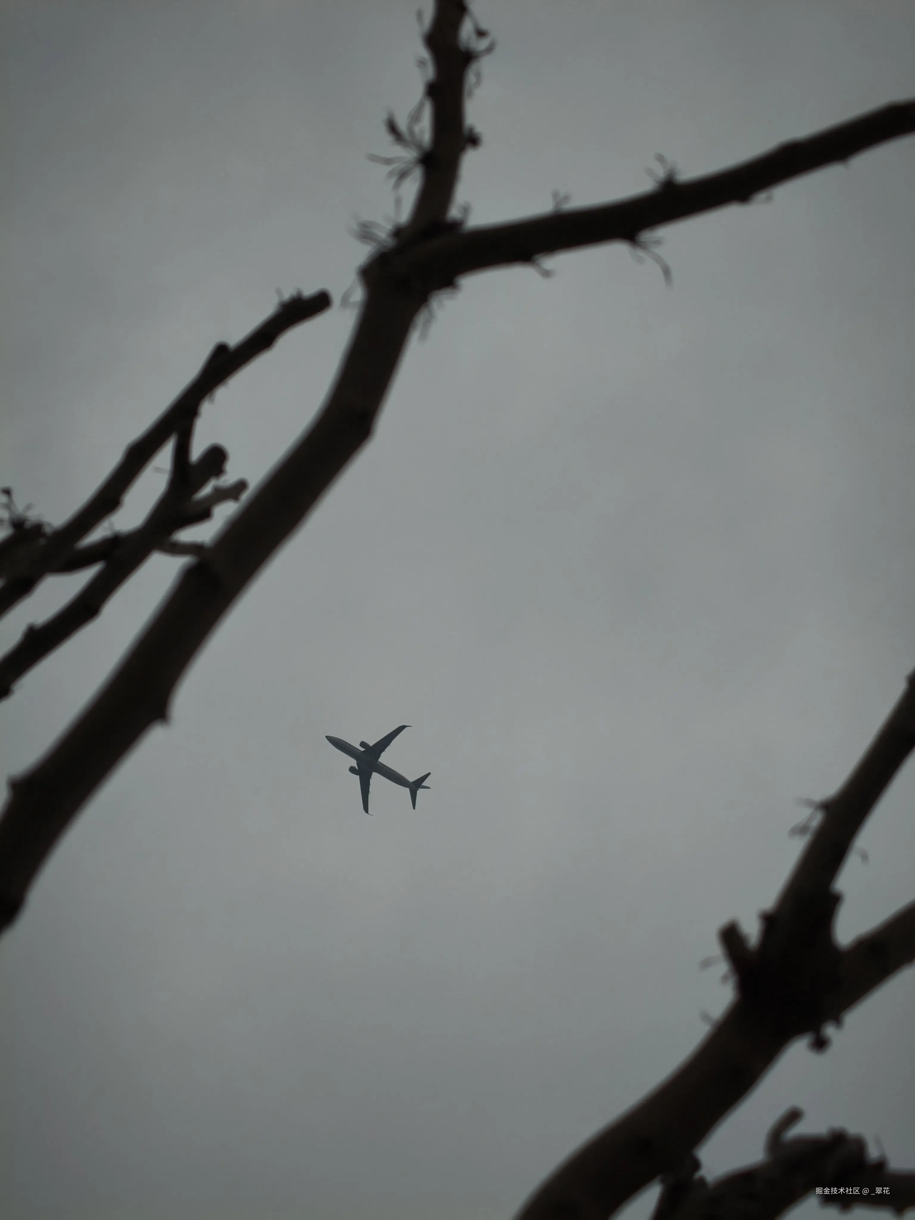 _翠花于2026-03-21 20:14发布的图片