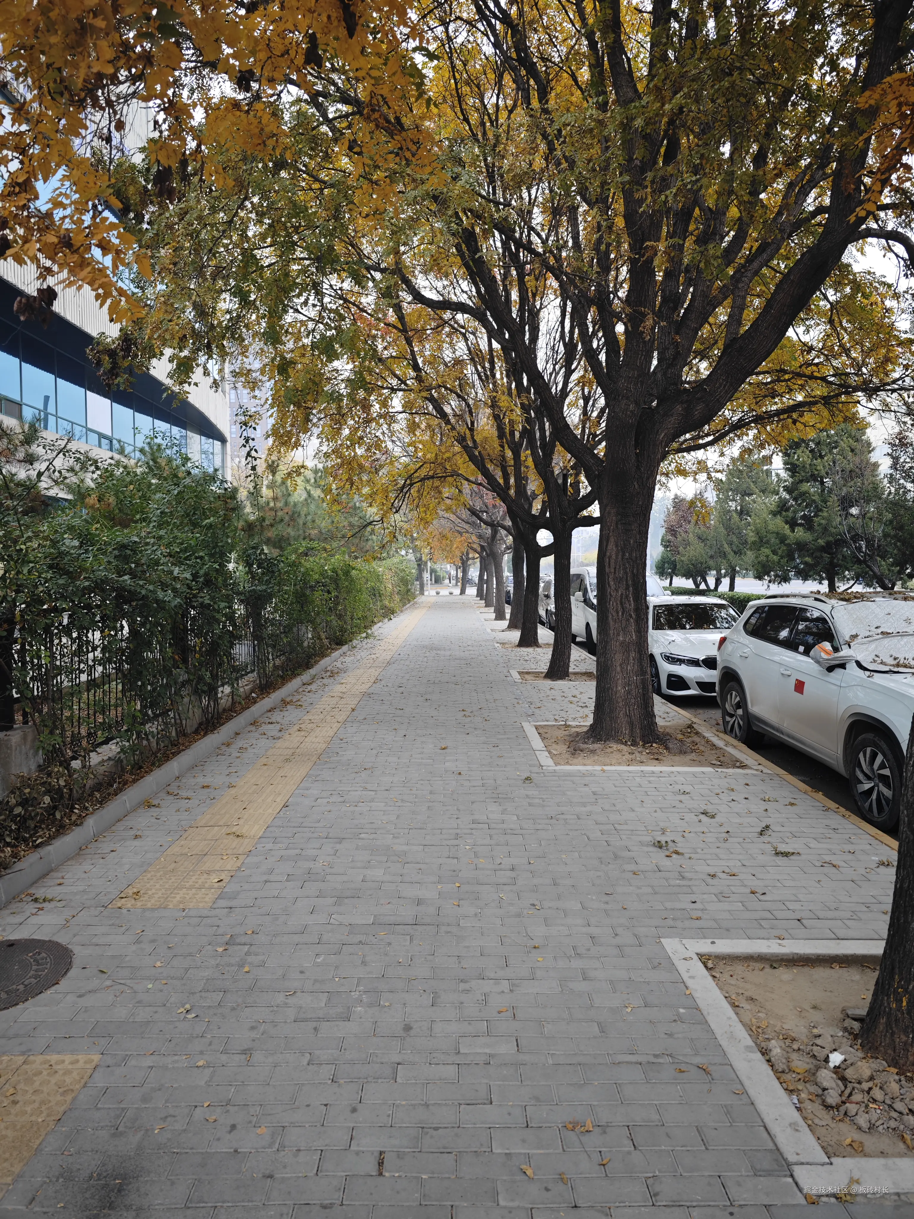 板砖村长于2024-11-01 16:04发布的图片