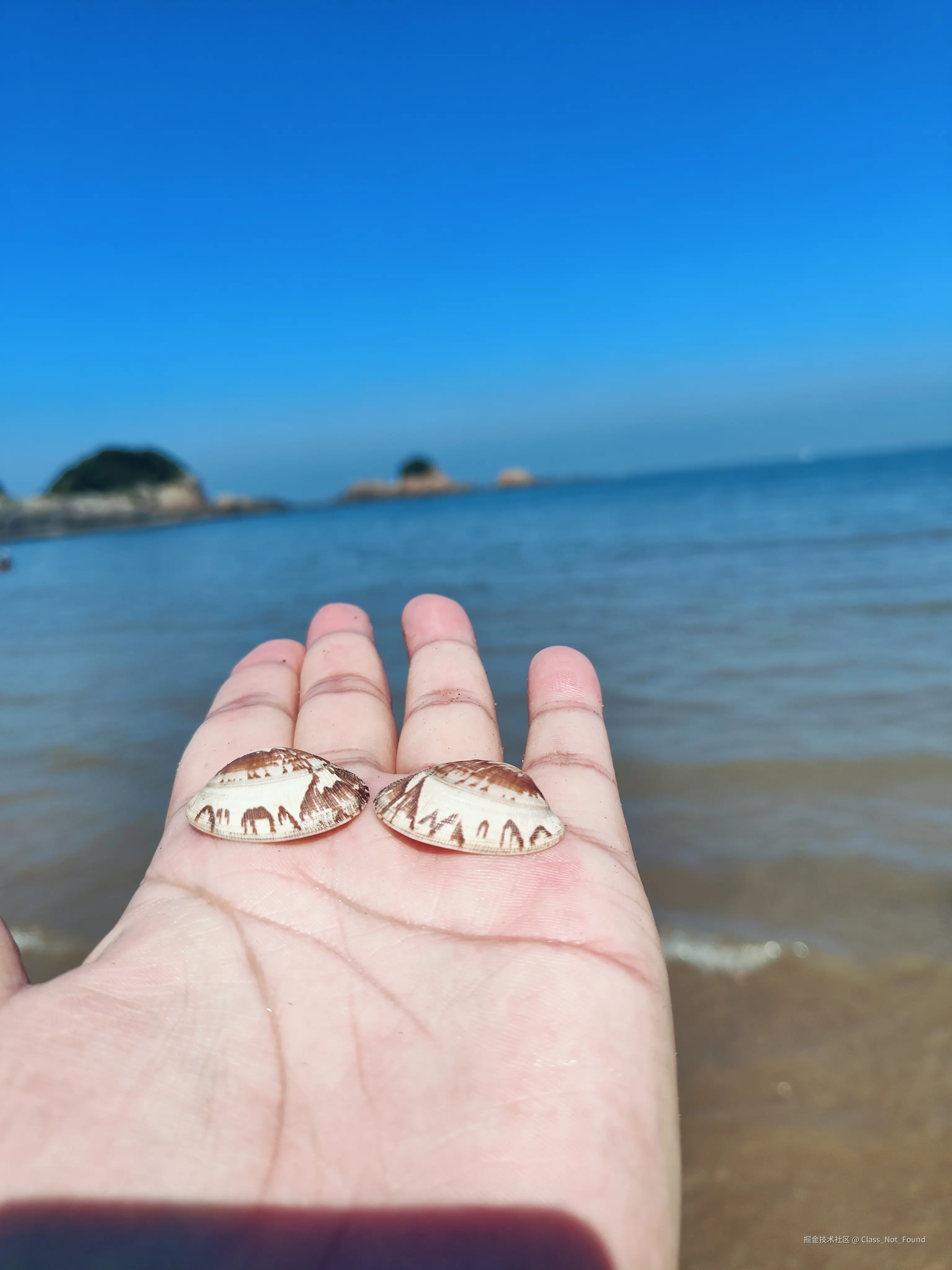 Class_Not_Found于2024-08-09 01:38发布的图片