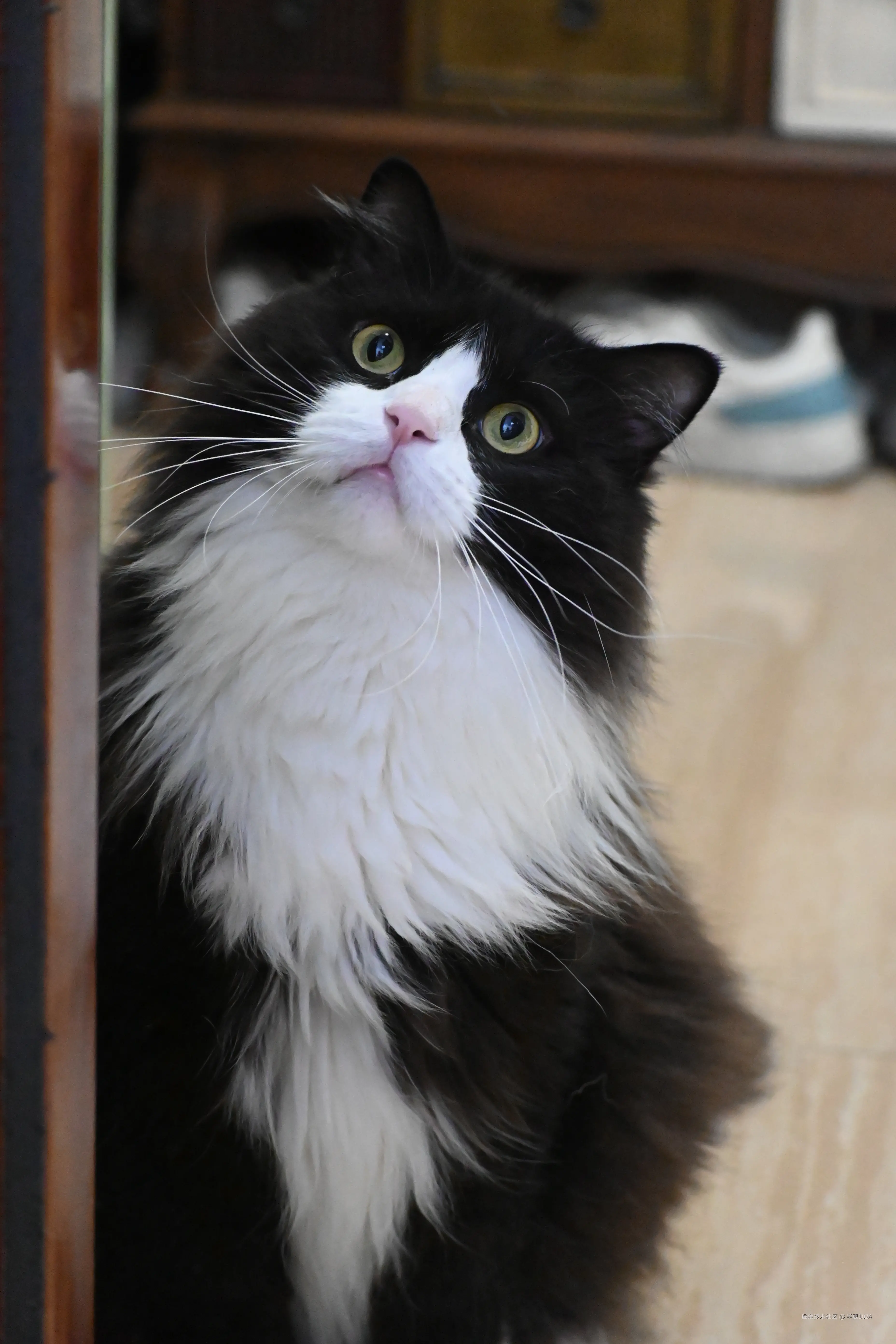 半夏1024于2025-09-15 09:23发布的图片