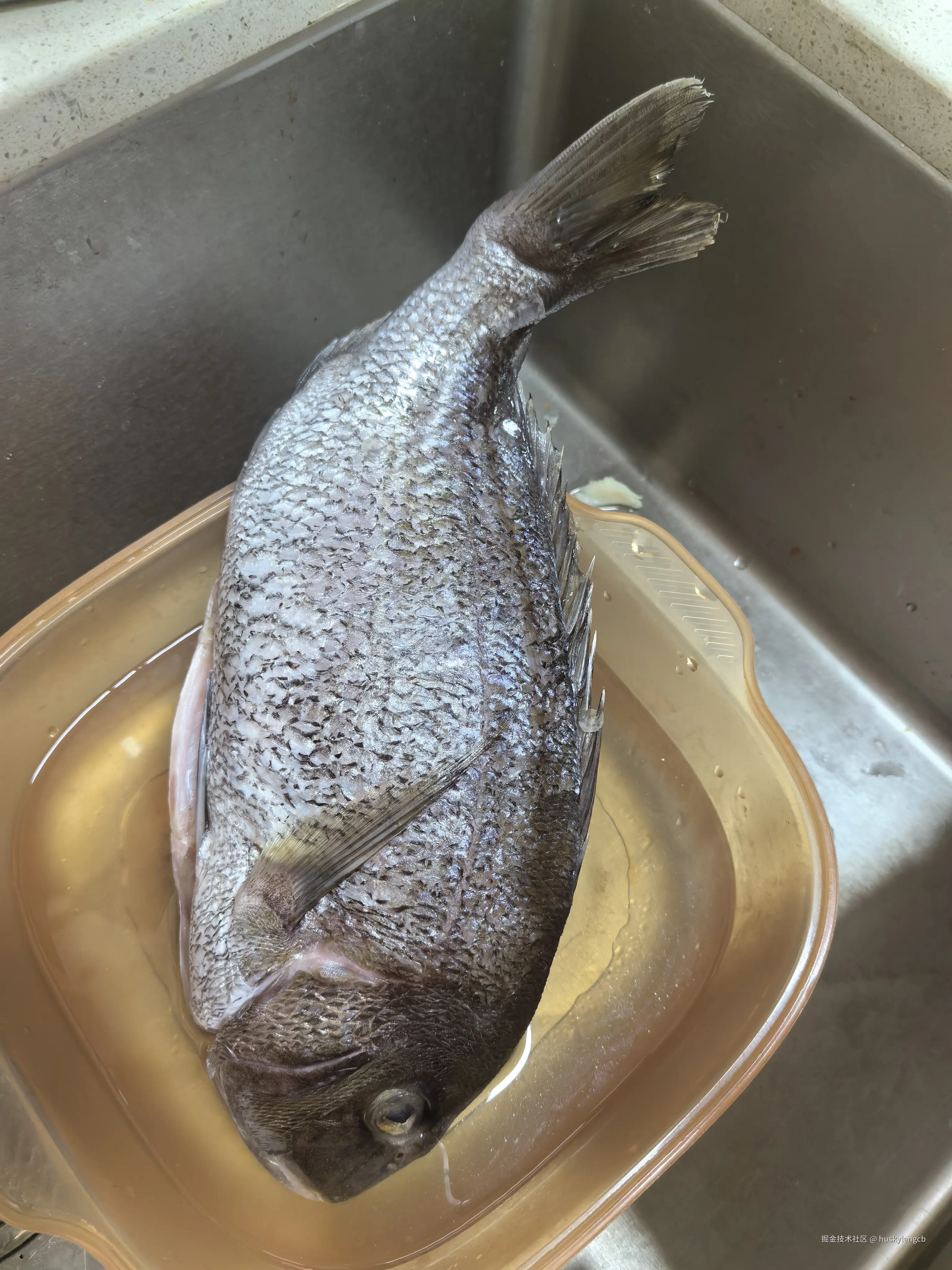 huskylengcb于2025-03-31 17:07发布的图片