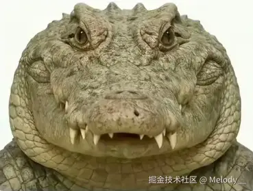 Melody__于2026-04-20 15:33发布的图片