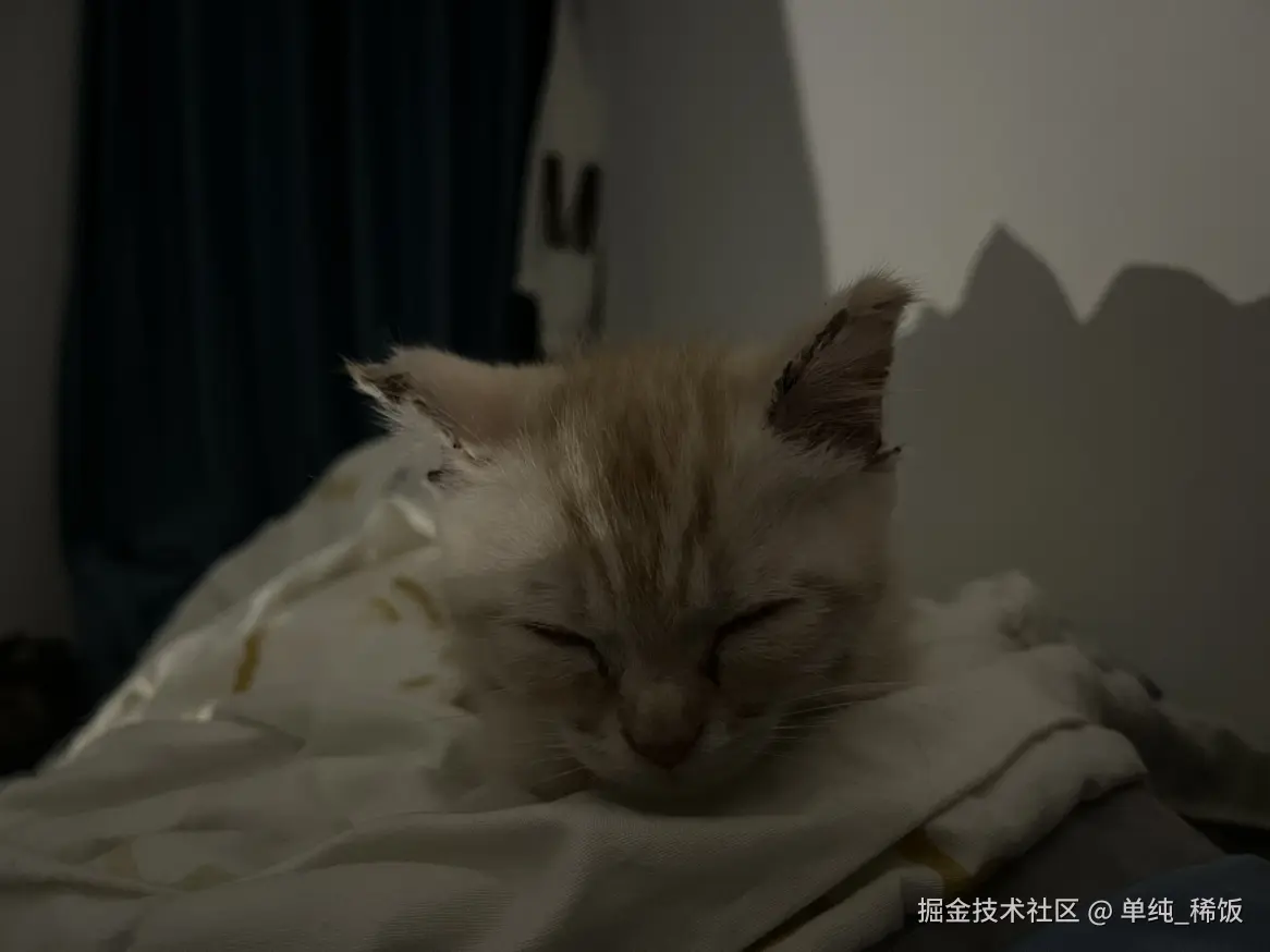 单纯_稀饭于2025-03-13 11:26发布的图片