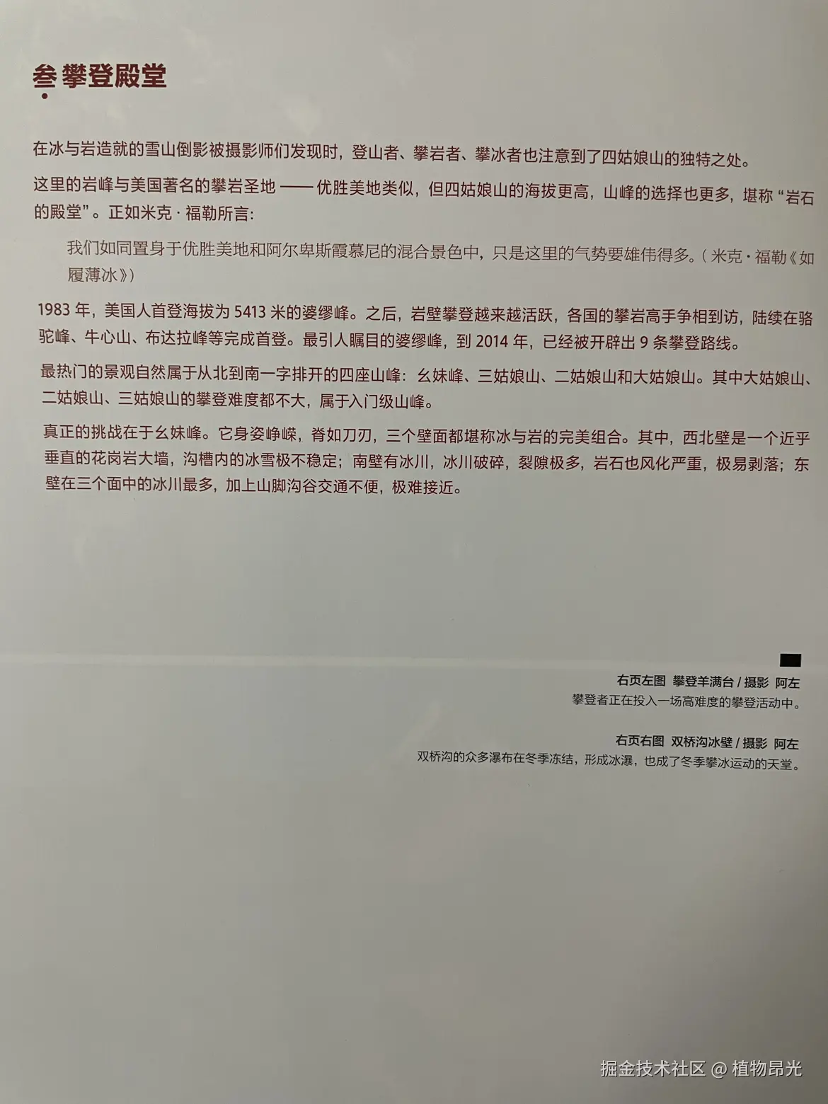 植物昂光于2026-03-16 20:38发布的图片