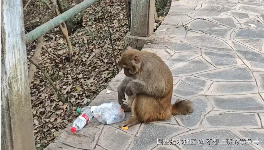 不想上班的章鱼哥于2025-01-07 07:02发布的图片