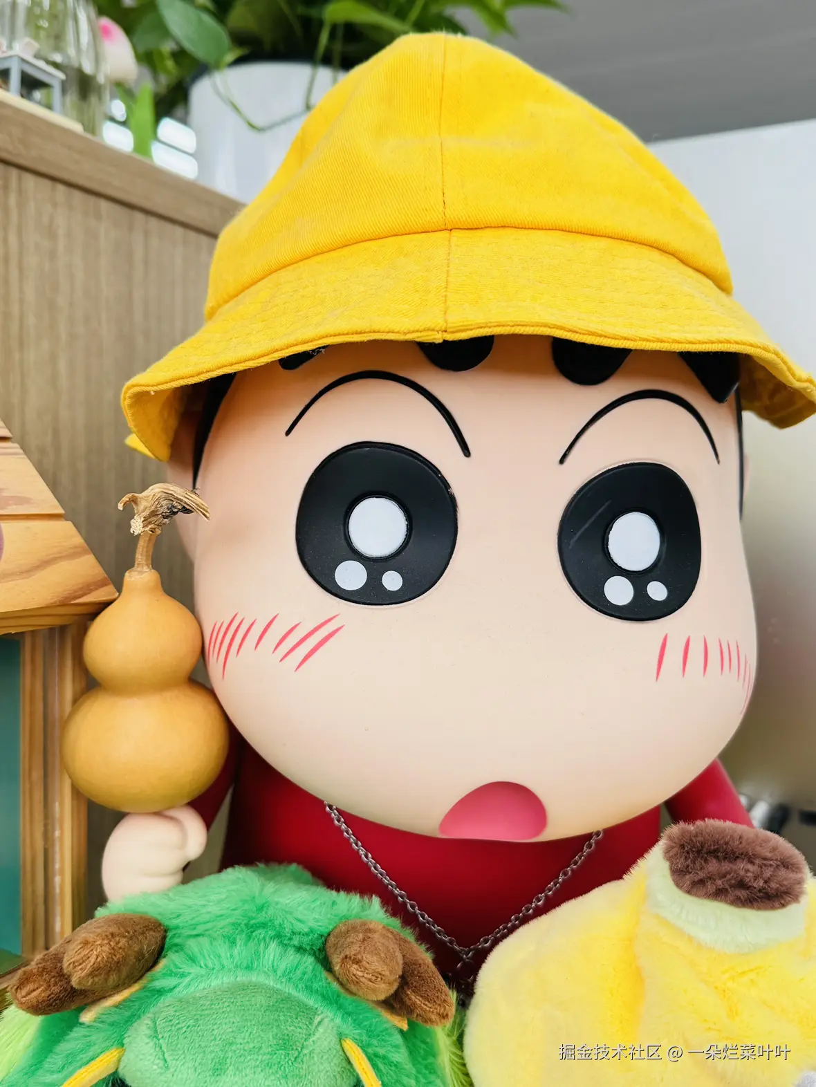 一朵烂菜叶叶于2025-04-28 09:28发布的图片