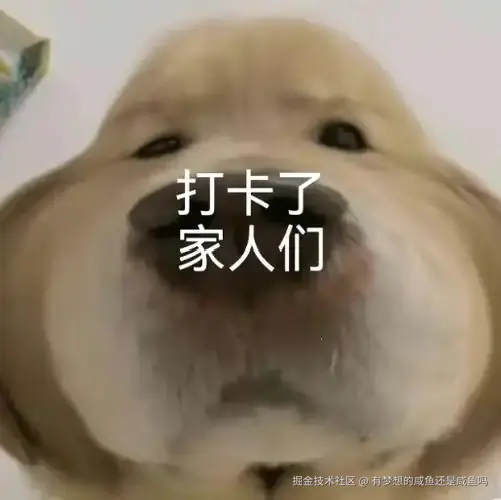 有梦想的咸鱼还是咸鱼吗于2024-12-23 02:27发布的图片