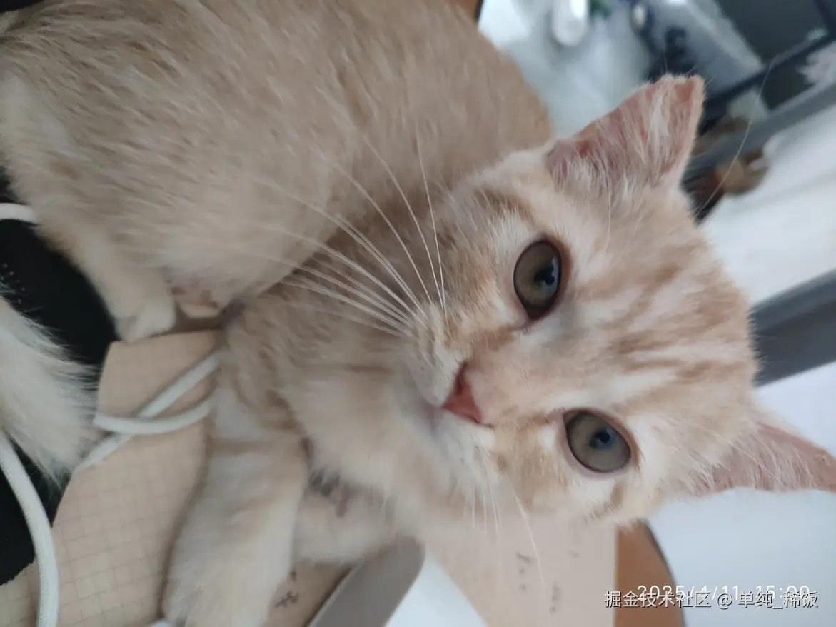 单纯_稀饭于2025-04-11 15:02发布的图片