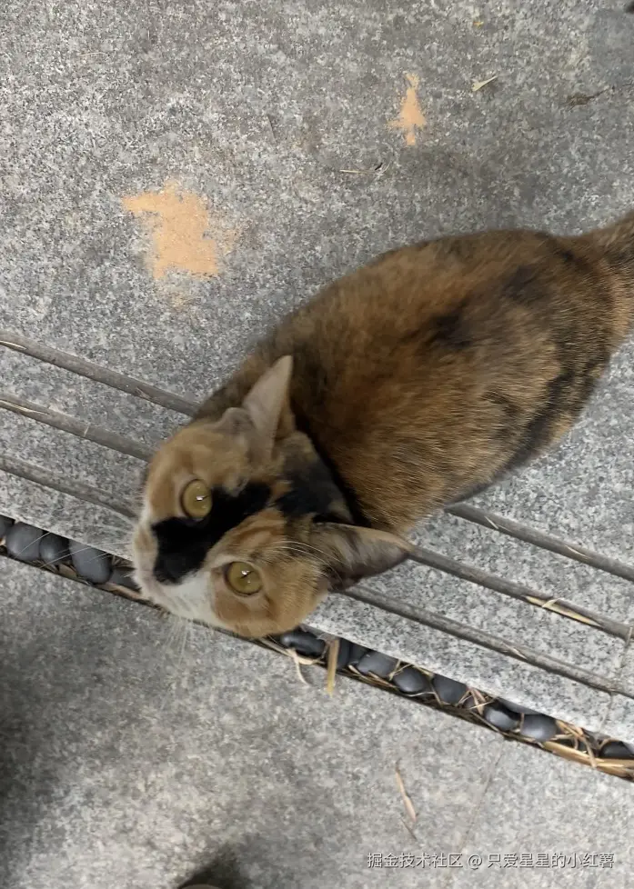 只爱星星的小红薯于2024-12-24 11:52发布的图片