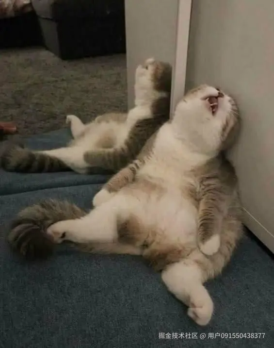 用户091550438377于2024-09-27 09:07发布的图片