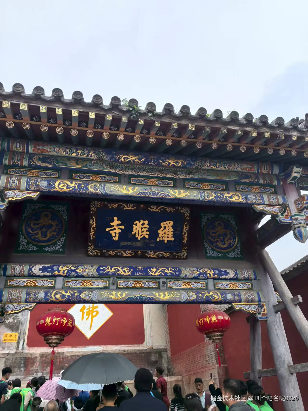 叫个啥名呢0326于2025-07-21 10:19发布的图片