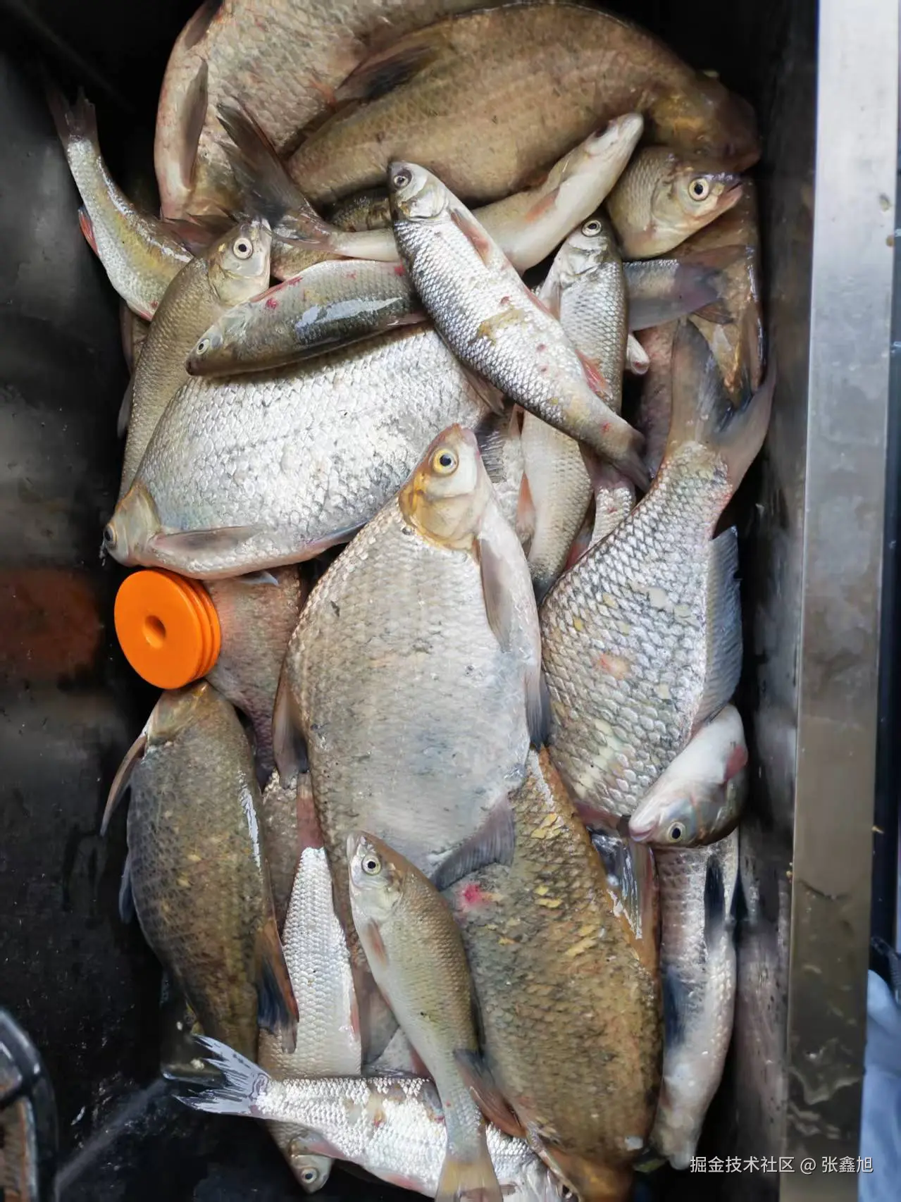 张鑫旭于2025-04-28 17:14发布的图片