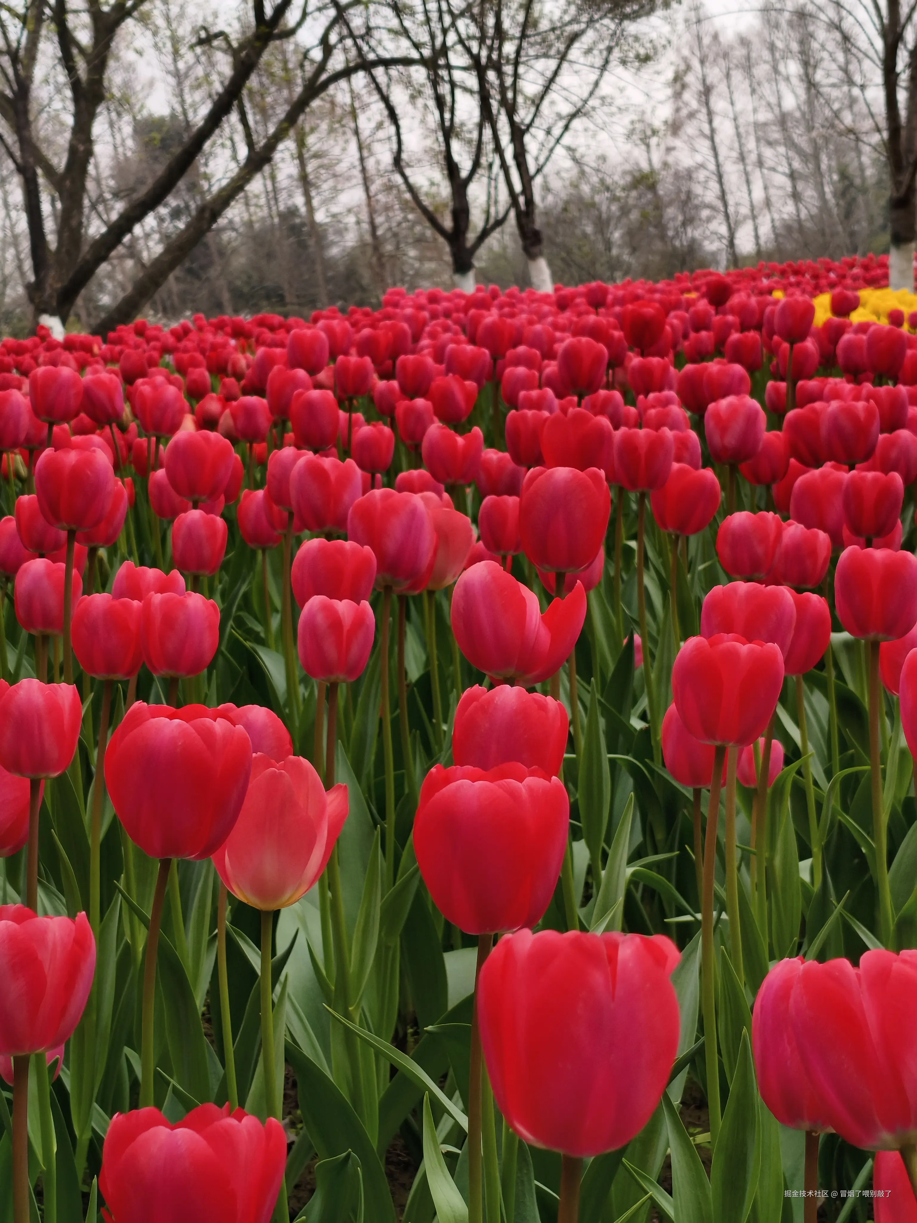 冒烟了喂别敲了于2026-03-23 12:05发布的图片