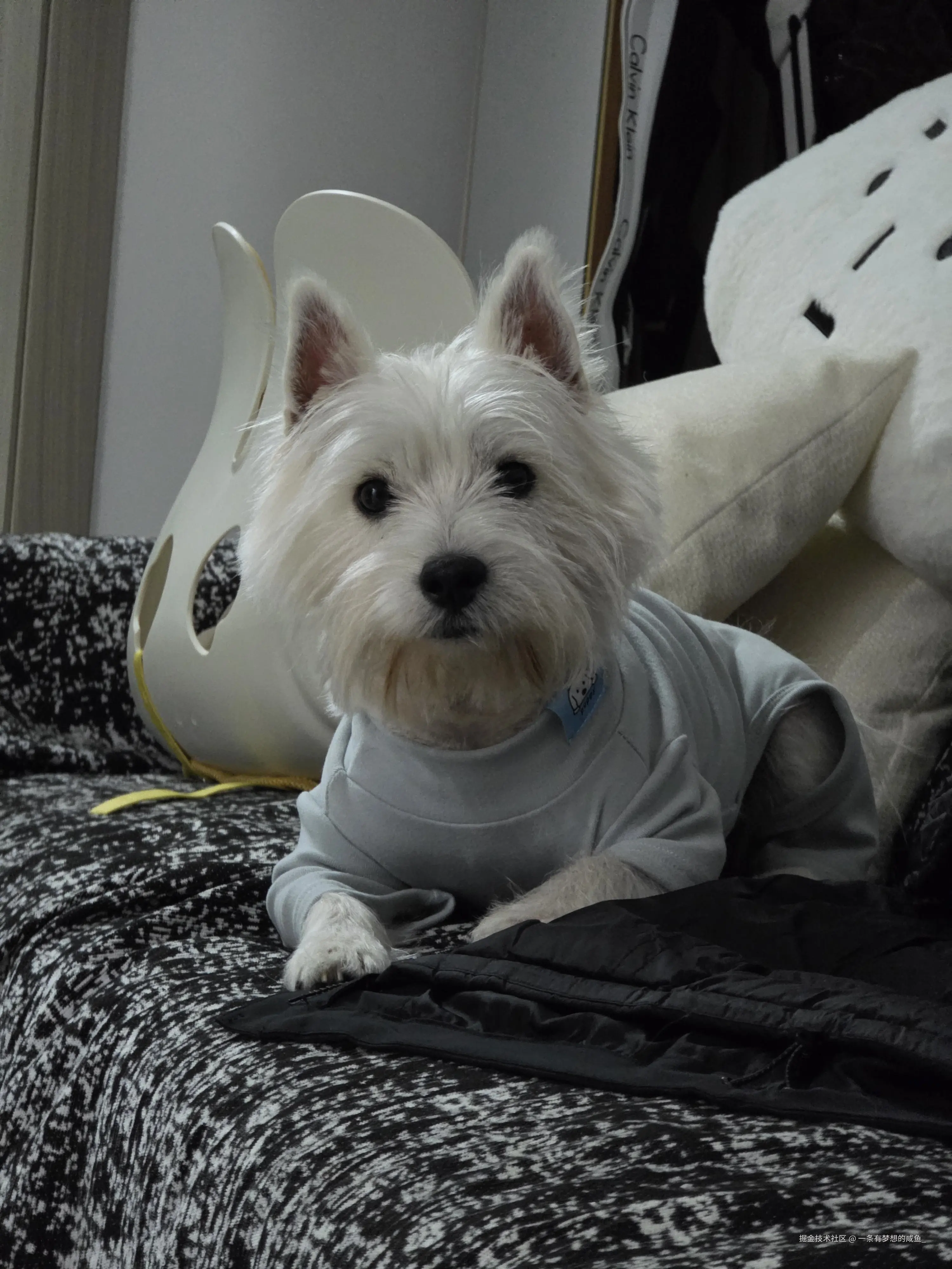 一条有梦想的咸鱼_于2025-12-24 11:02发布的图片