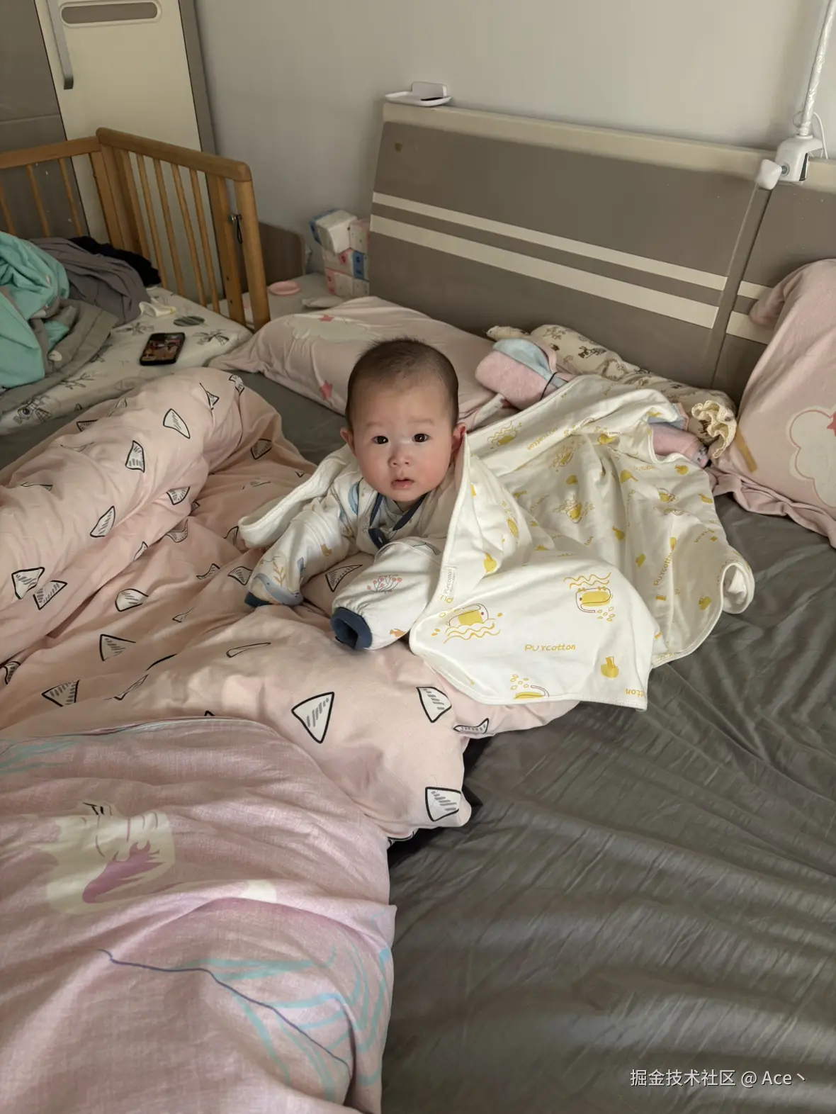 Ace丶于2026-01-28 13:32发布的图片