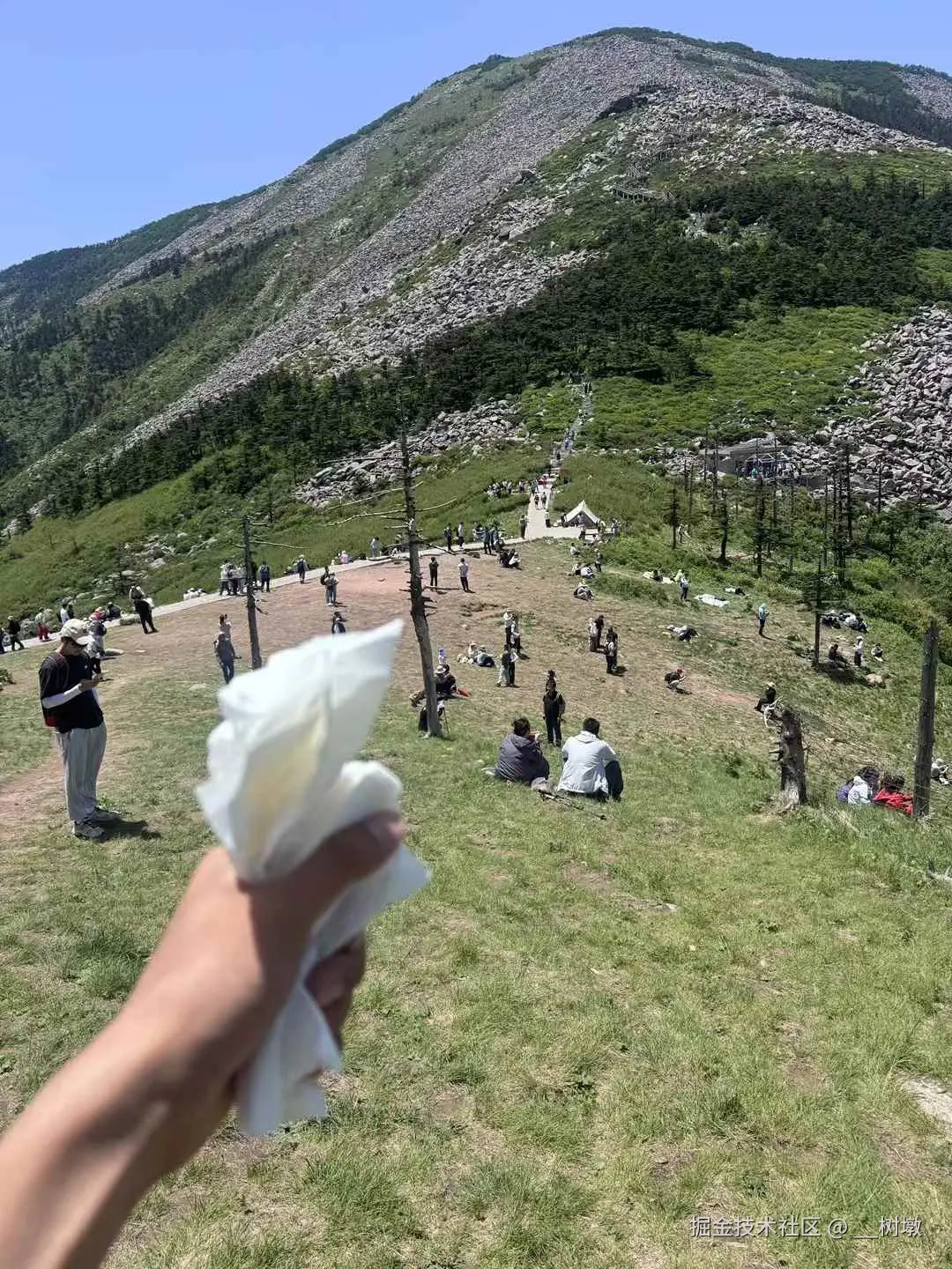 __树墩于2025-06-16 10:33发布的图片