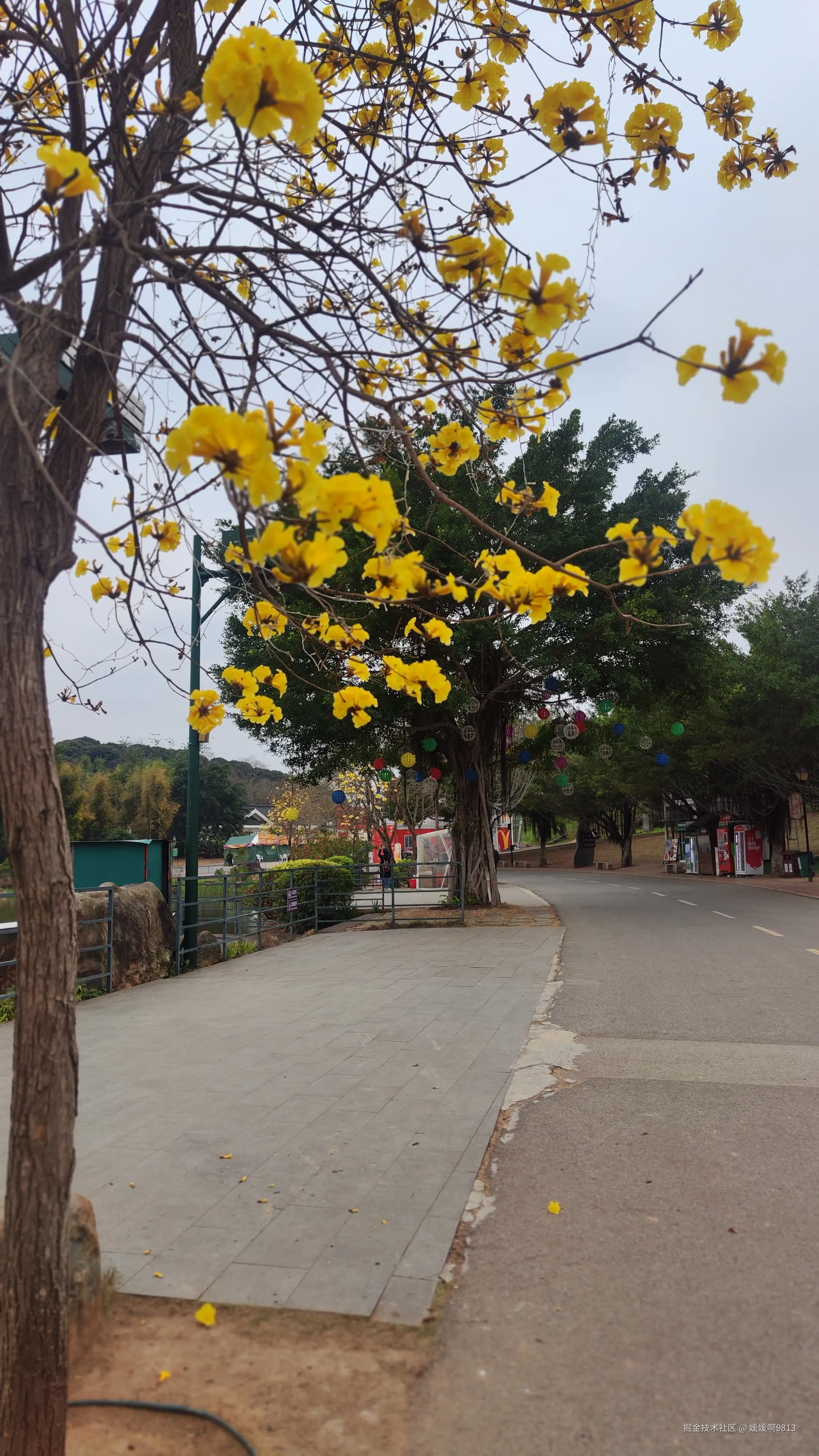 媛媛啊9813于2025-03-08 17:49发布的图片