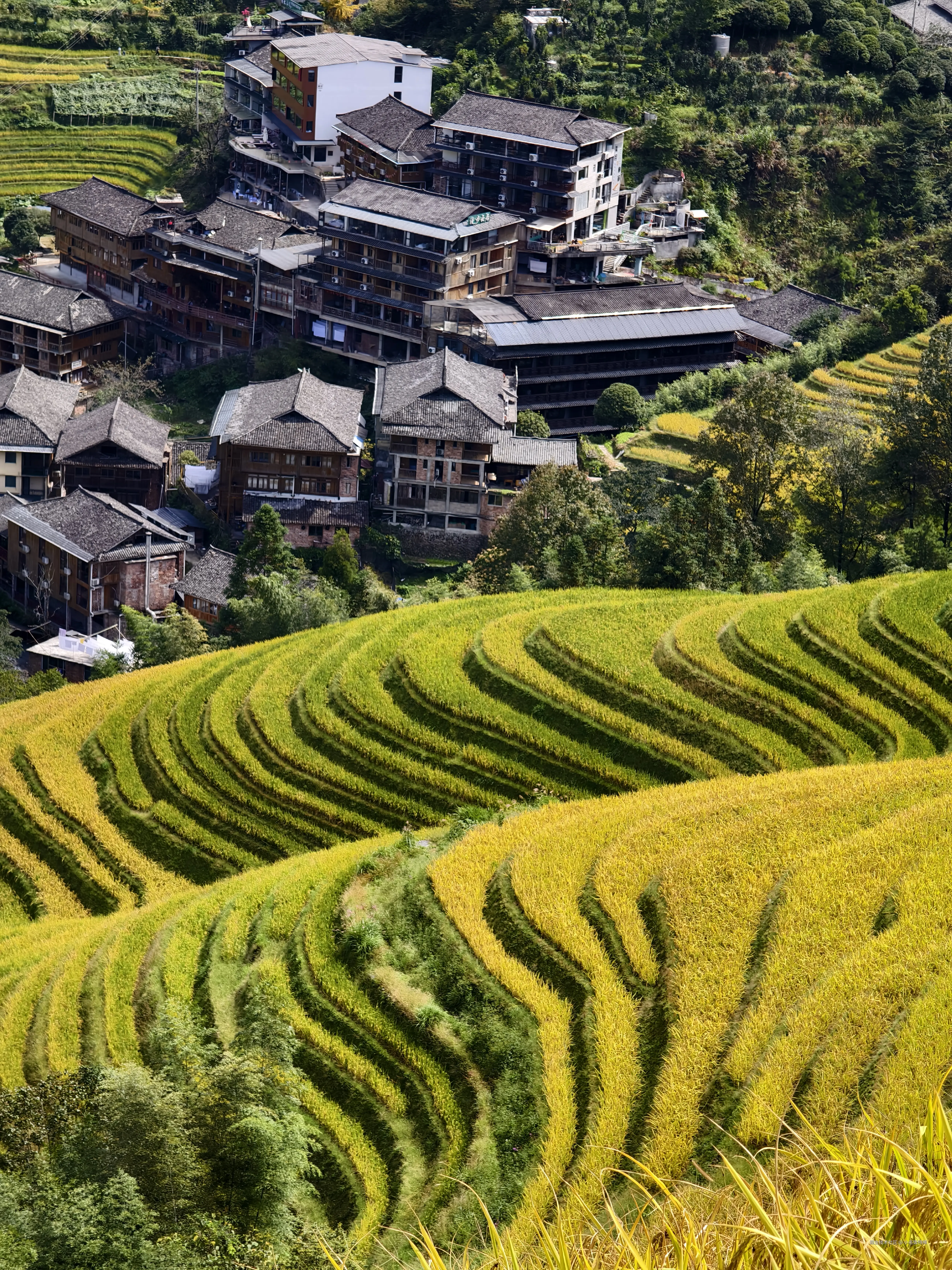 小名饭特稀于2024-10-08 14:14发布的图片