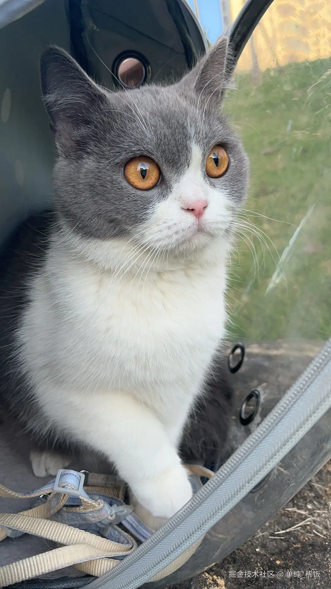 单纯_稀饭于2024-11-29 17:47发布的图片