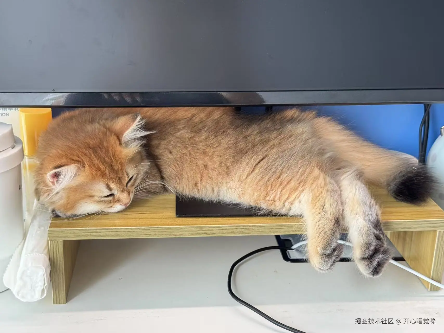 开心睡觉咪于2025-08-12 13:26发布的图片