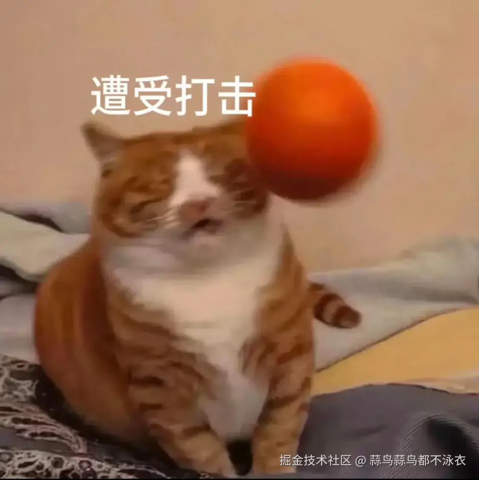 蒜鸟蒜鸟都不泳衣于2025-08-13 15:04发布的图片