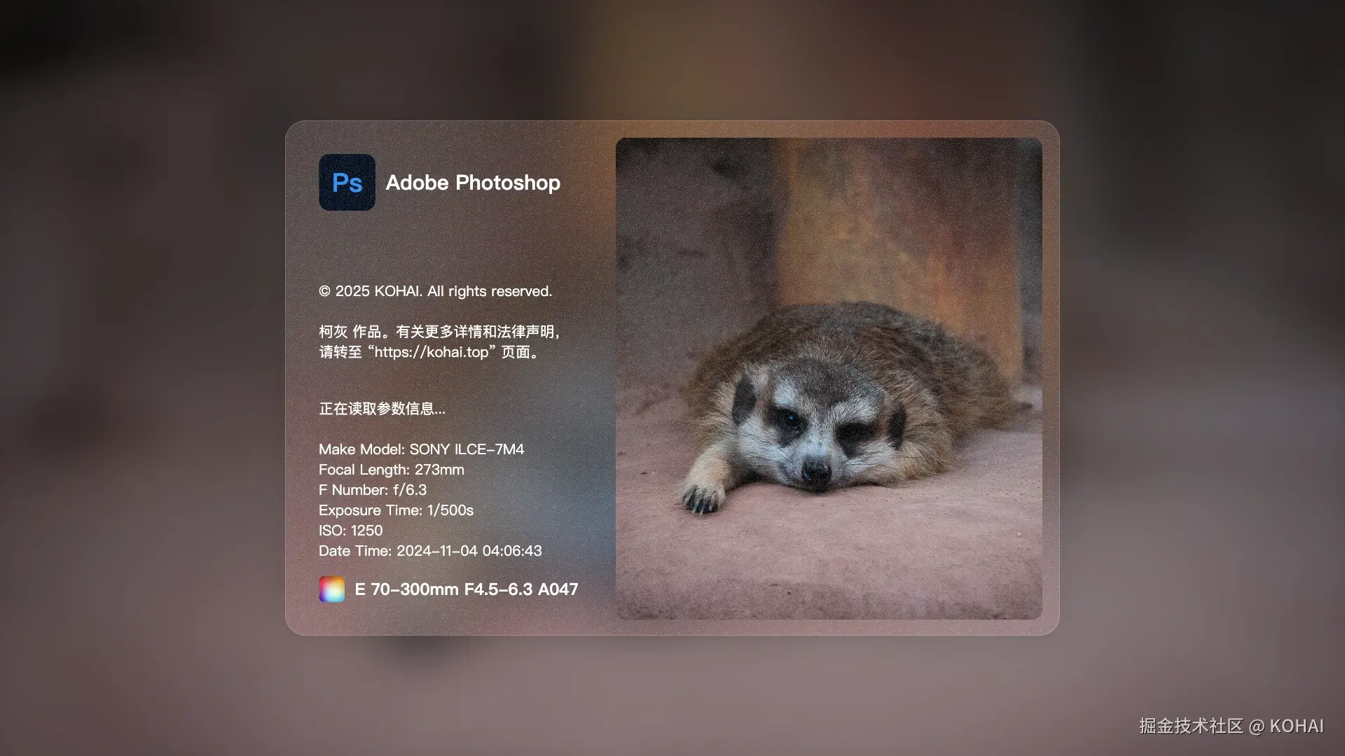 KOHAI于2025-06-10 15:03发布的图片