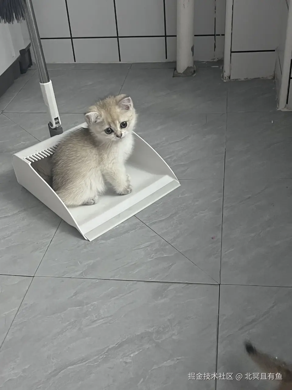 北冥且有鱼于2026-07-30 08:12发布的图片