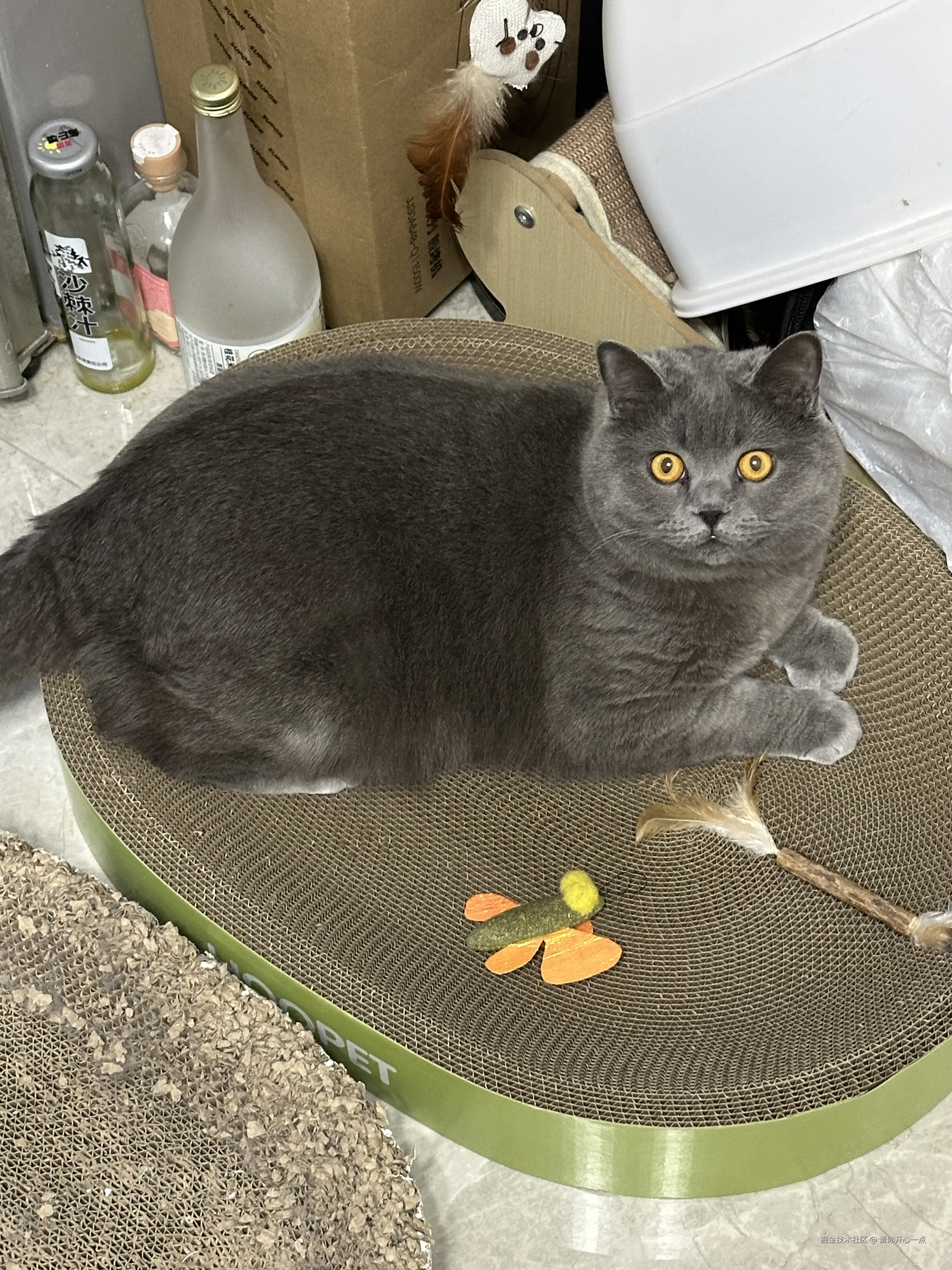 请你开心一点于2025-04-11 15:32发布的图片