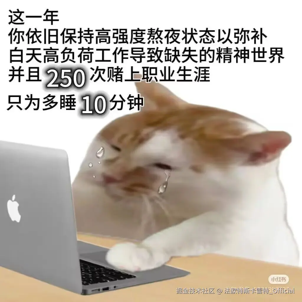 法欧特斯卡雷特_Official于2024-12-11 17:30发布的图片