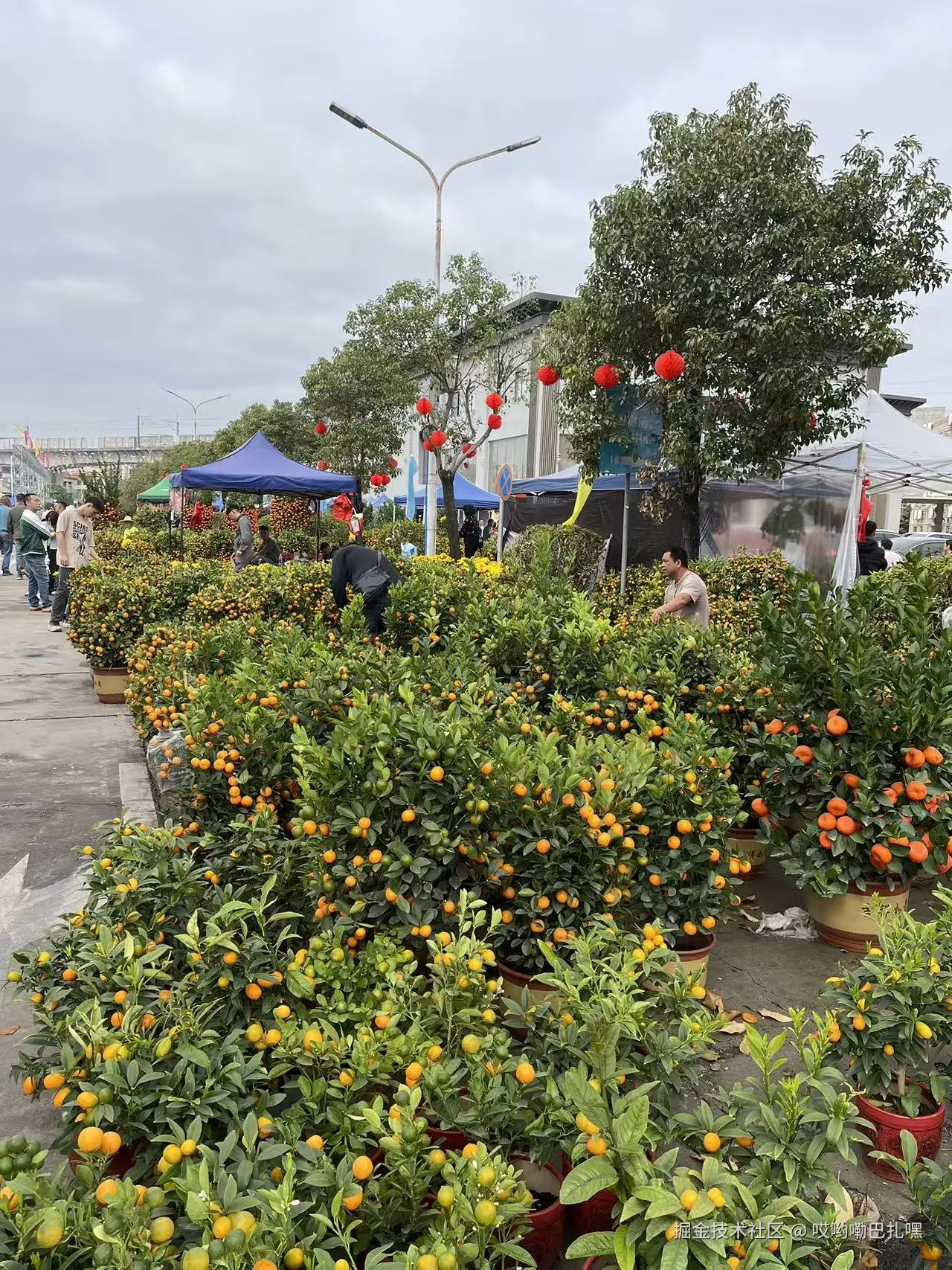 哎哟嘞巴扎嘿于2026-02-15 16:45发布的图片