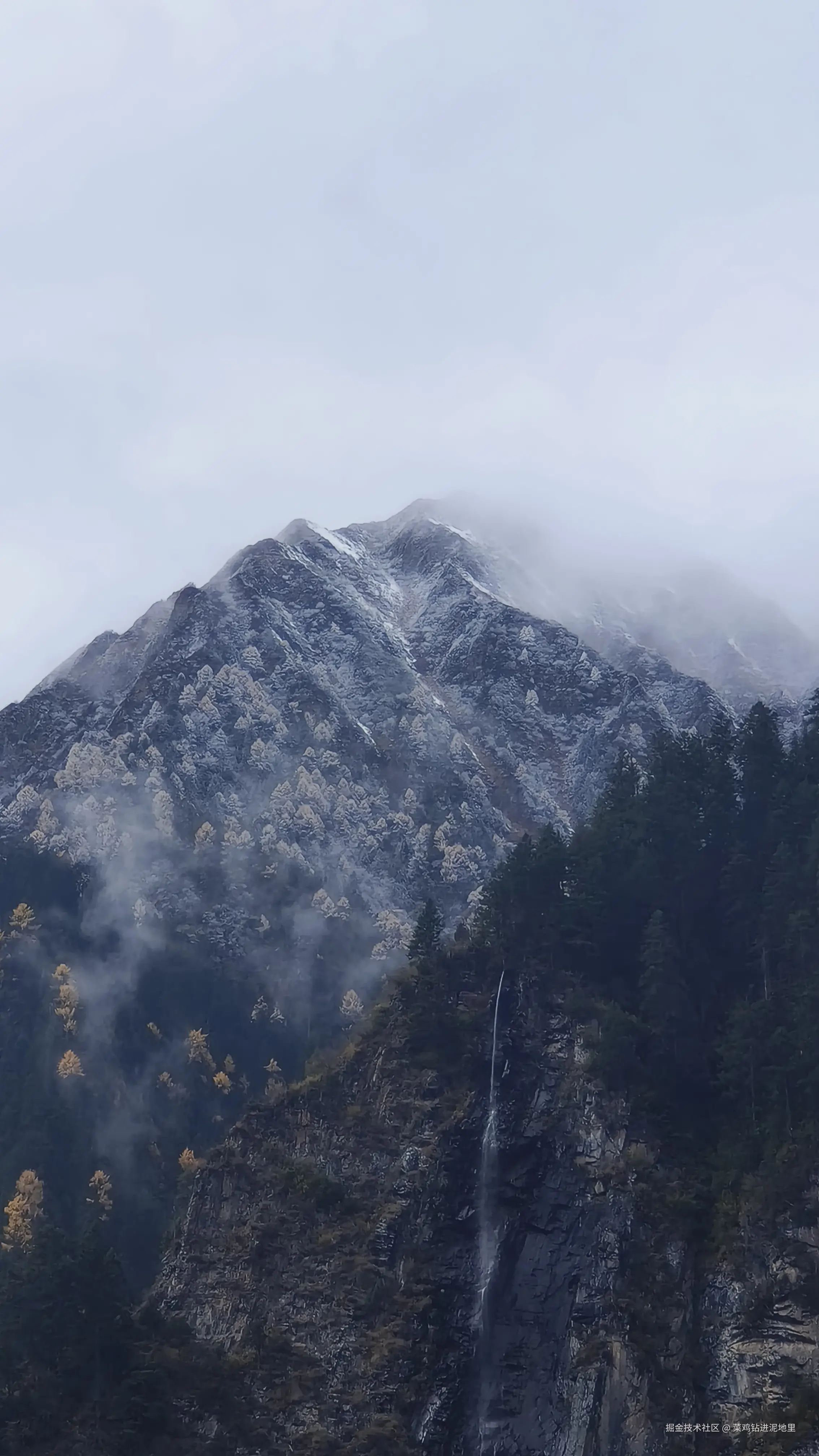 菜鸡钻进泥地里于2025-11-10 15:46发布的图片