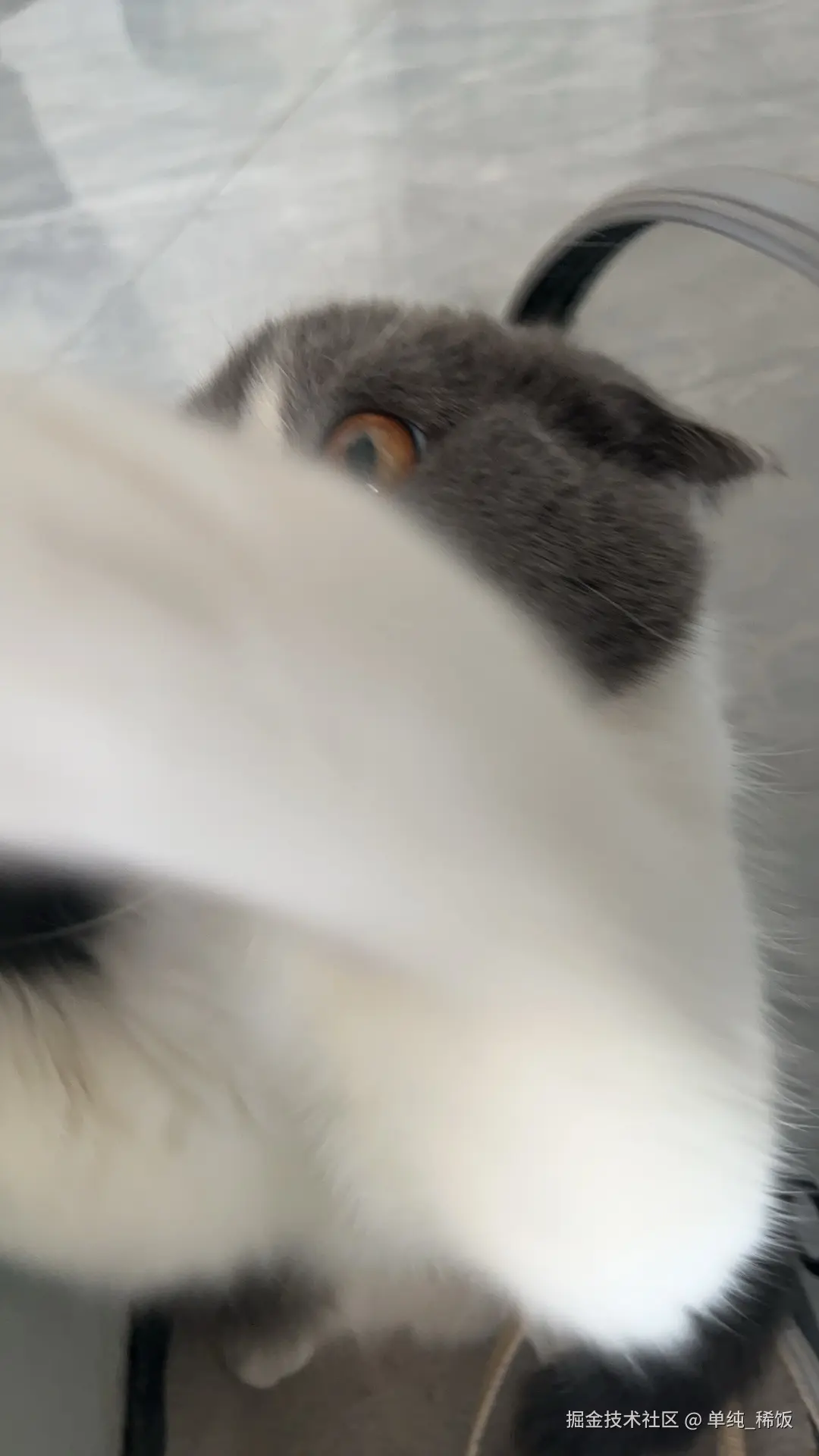 单纯_稀饭于2024-11-29 17:47发布的图片