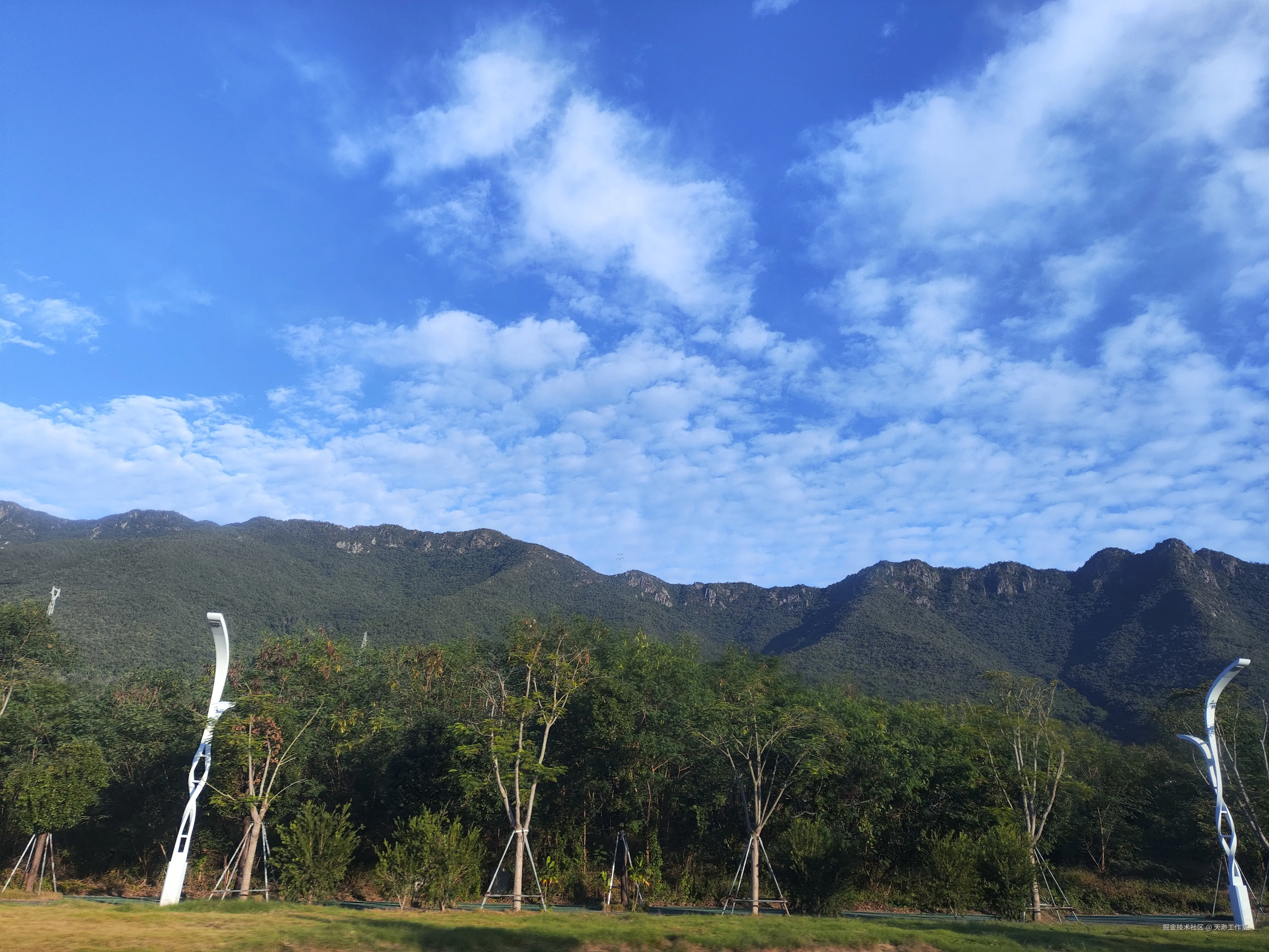 天渺工作室于2025-11-24 12:40发布的图片