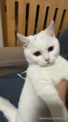 就爱吃火锅于2025-05-15 17:11发布的图片