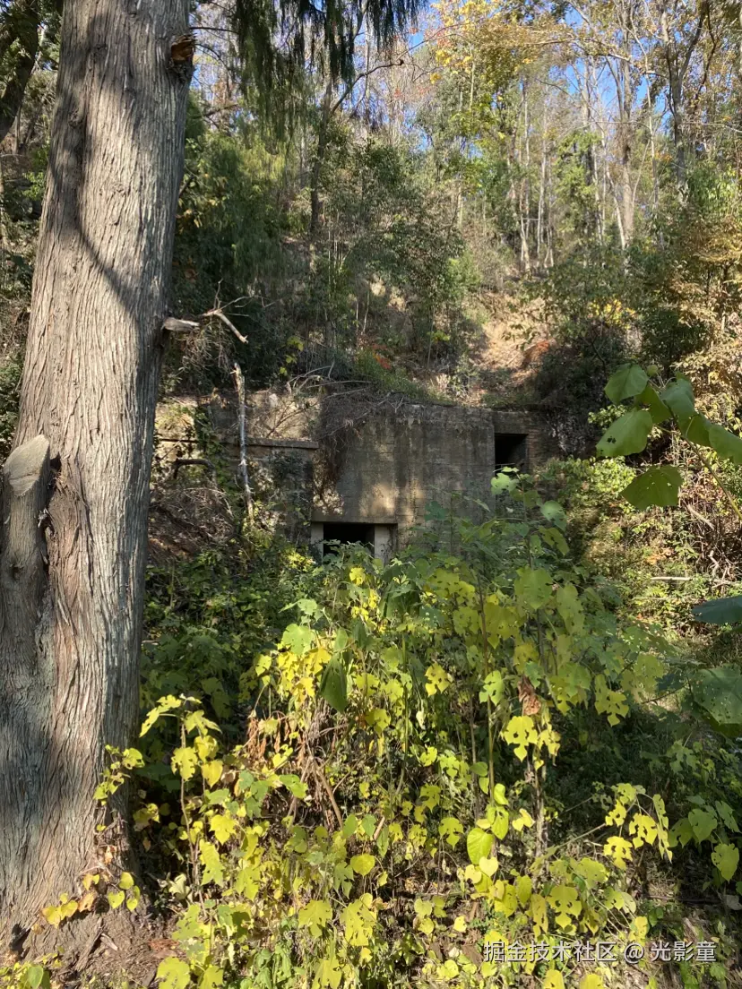 光影童于2024-12-02 14:17发布的图片