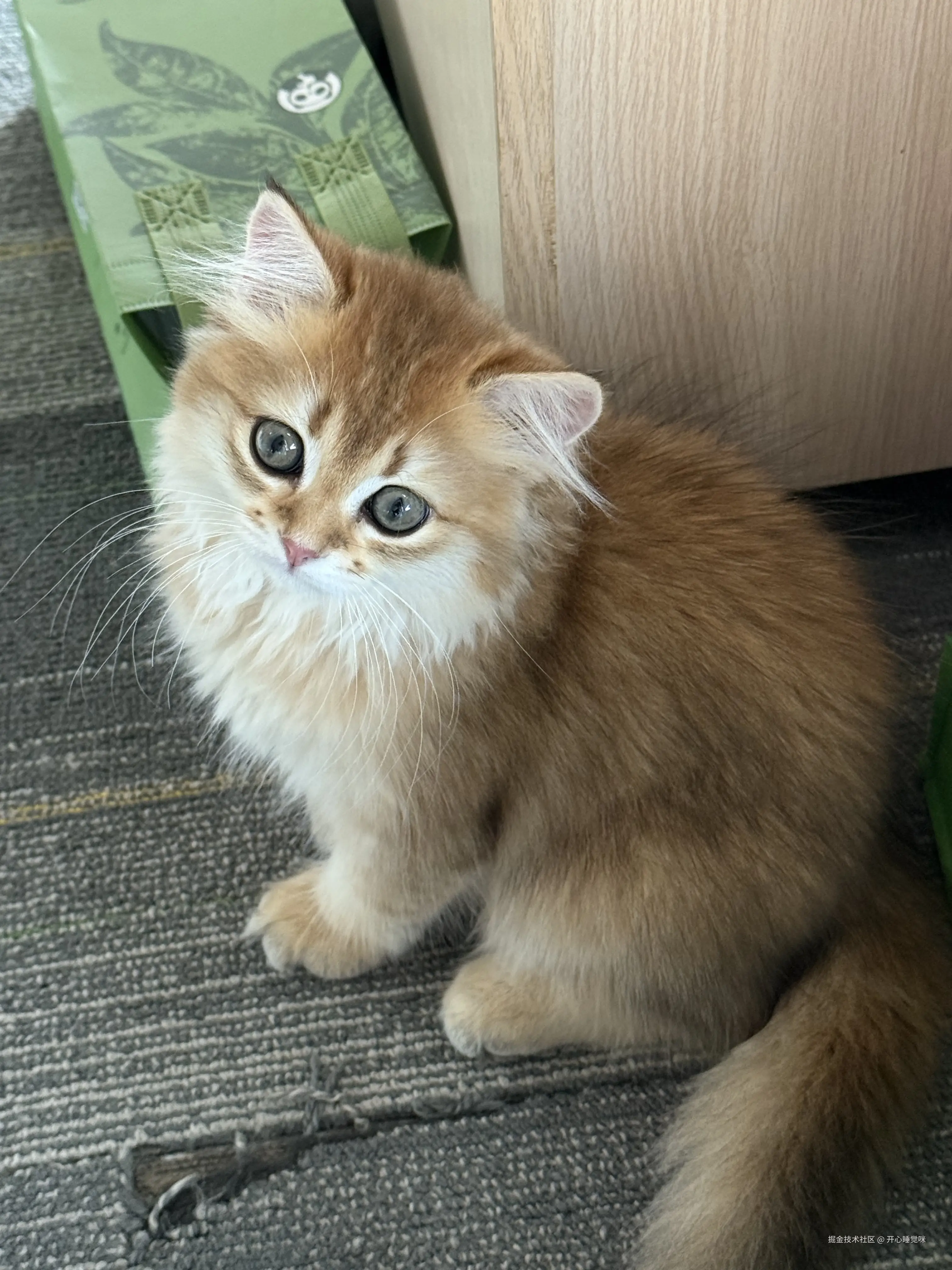 开心睡觉咪于2025-08-12 13:26发布的图片