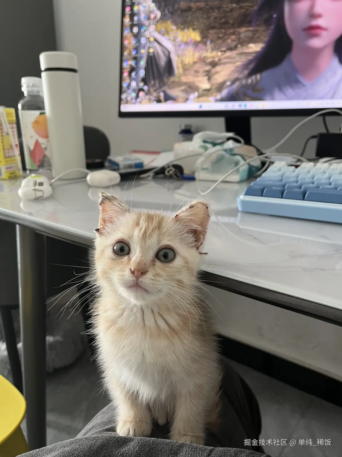 单纯_稀饭于2025-03-13 11:26发布的图片