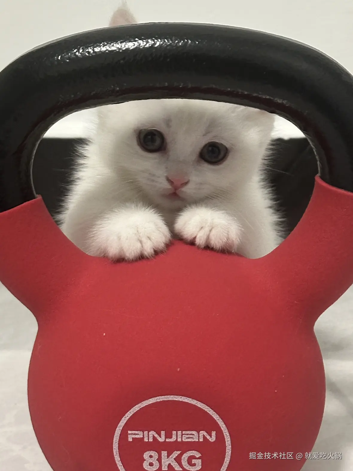 就爱吃火锅于2025-02-18 09:37发布的图片