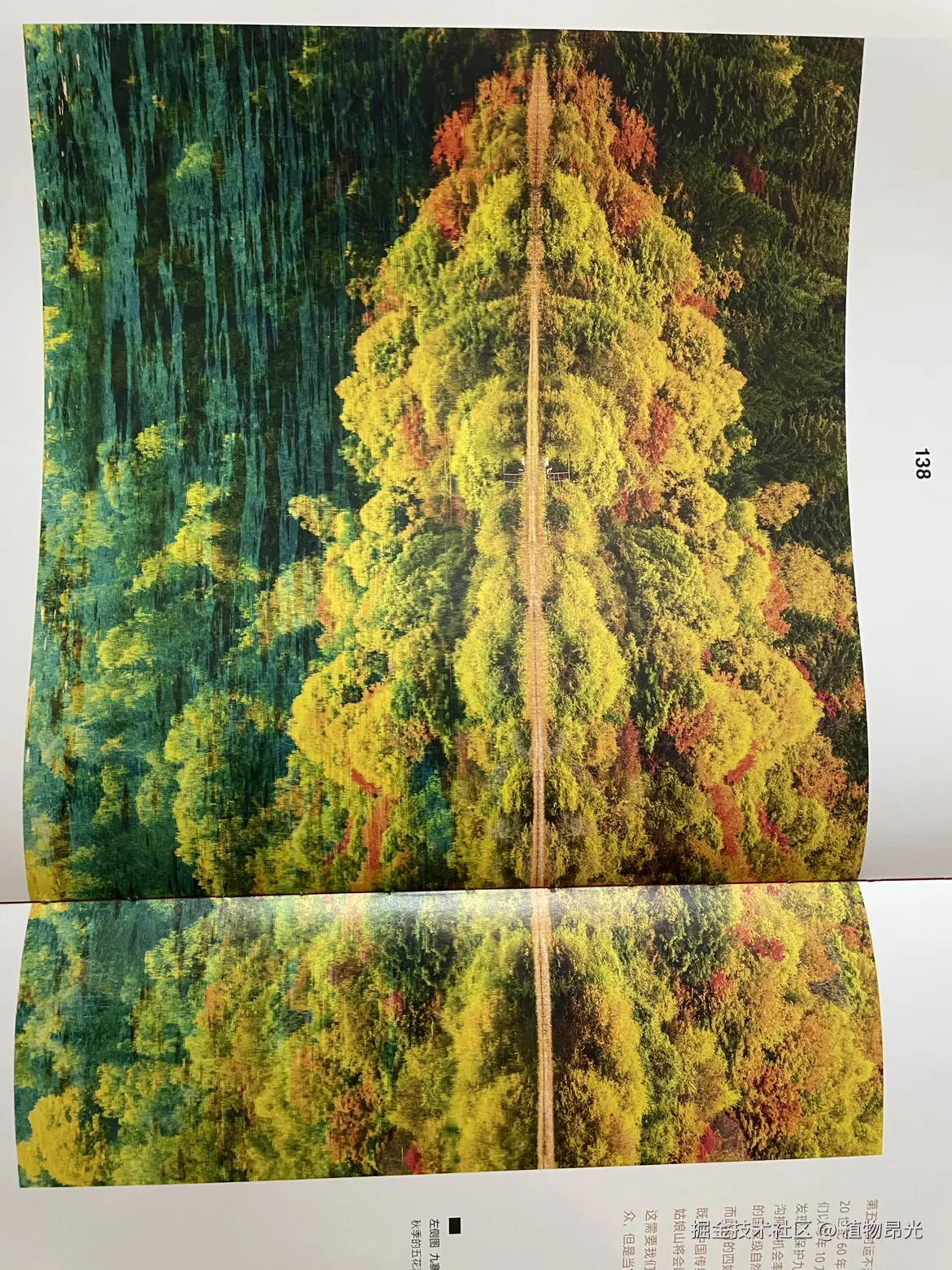 植物昂光于2026-03-13 21:49发布的图片