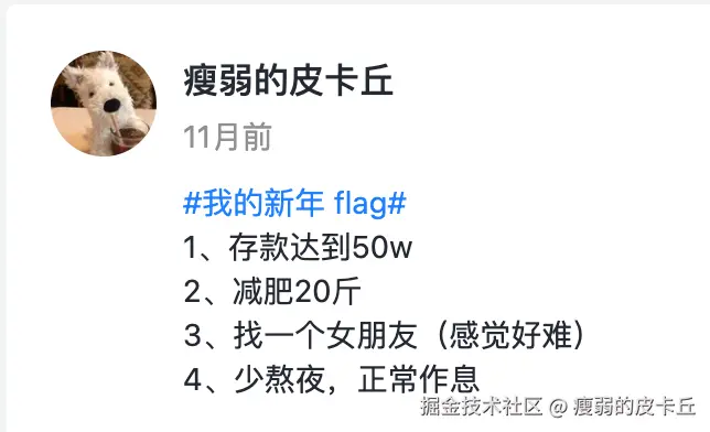 瘦弱的皮卡丘于2025-02-05 05:30发布的图片