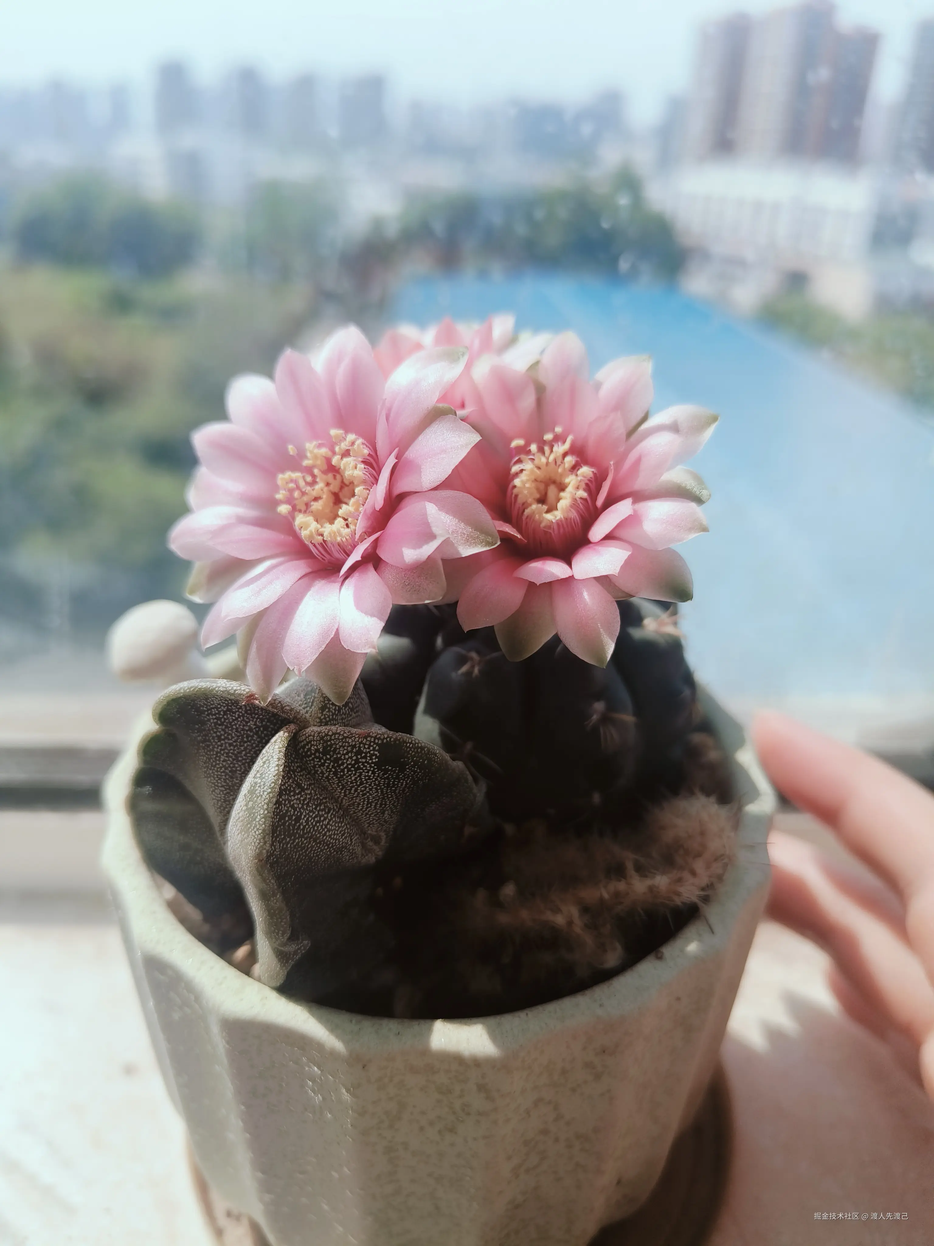 渡人先渡己于2025-04-27 09:33发布的图片