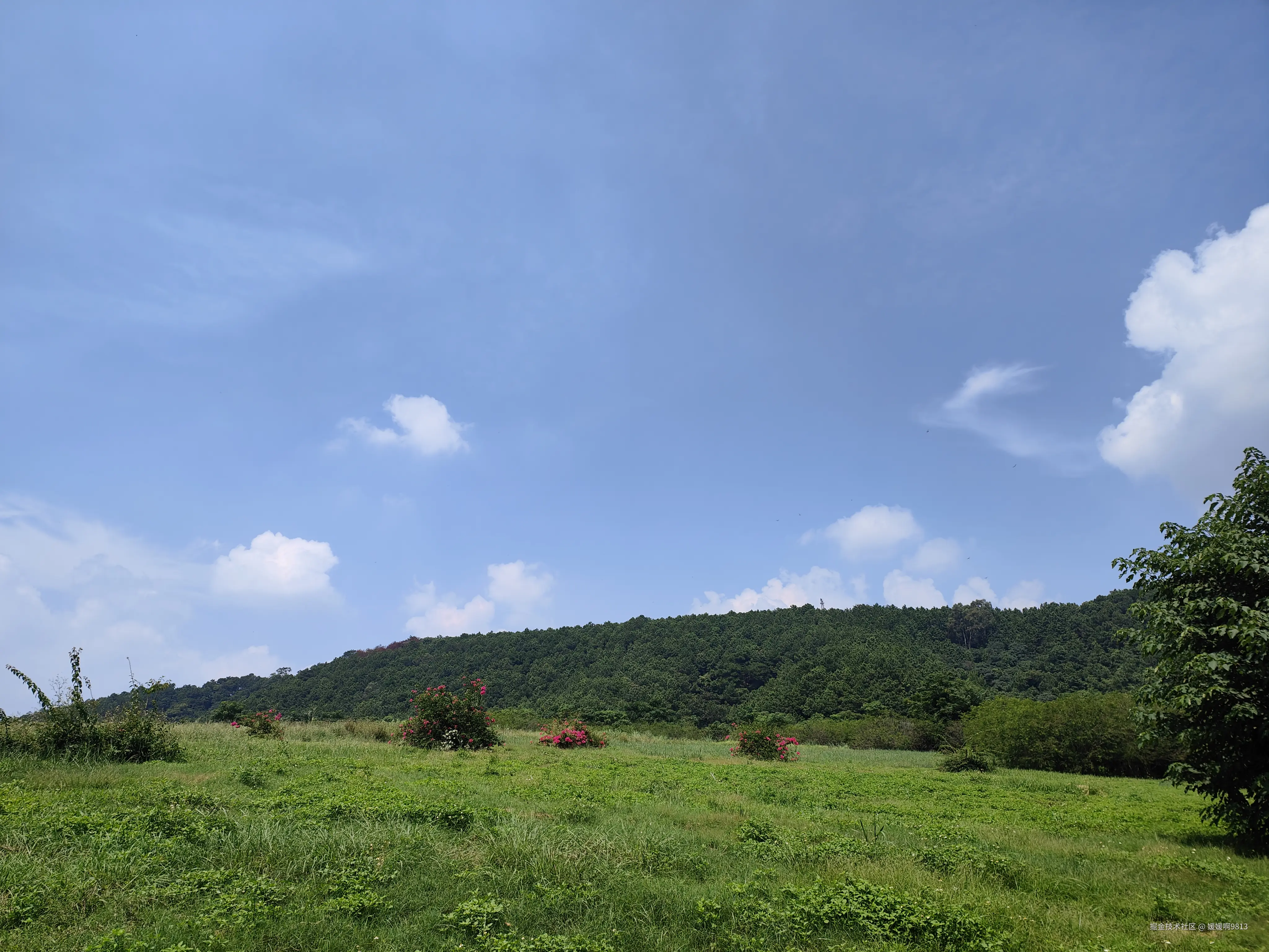 媛媛啊9813于2025-09-21 23:16发布的图片